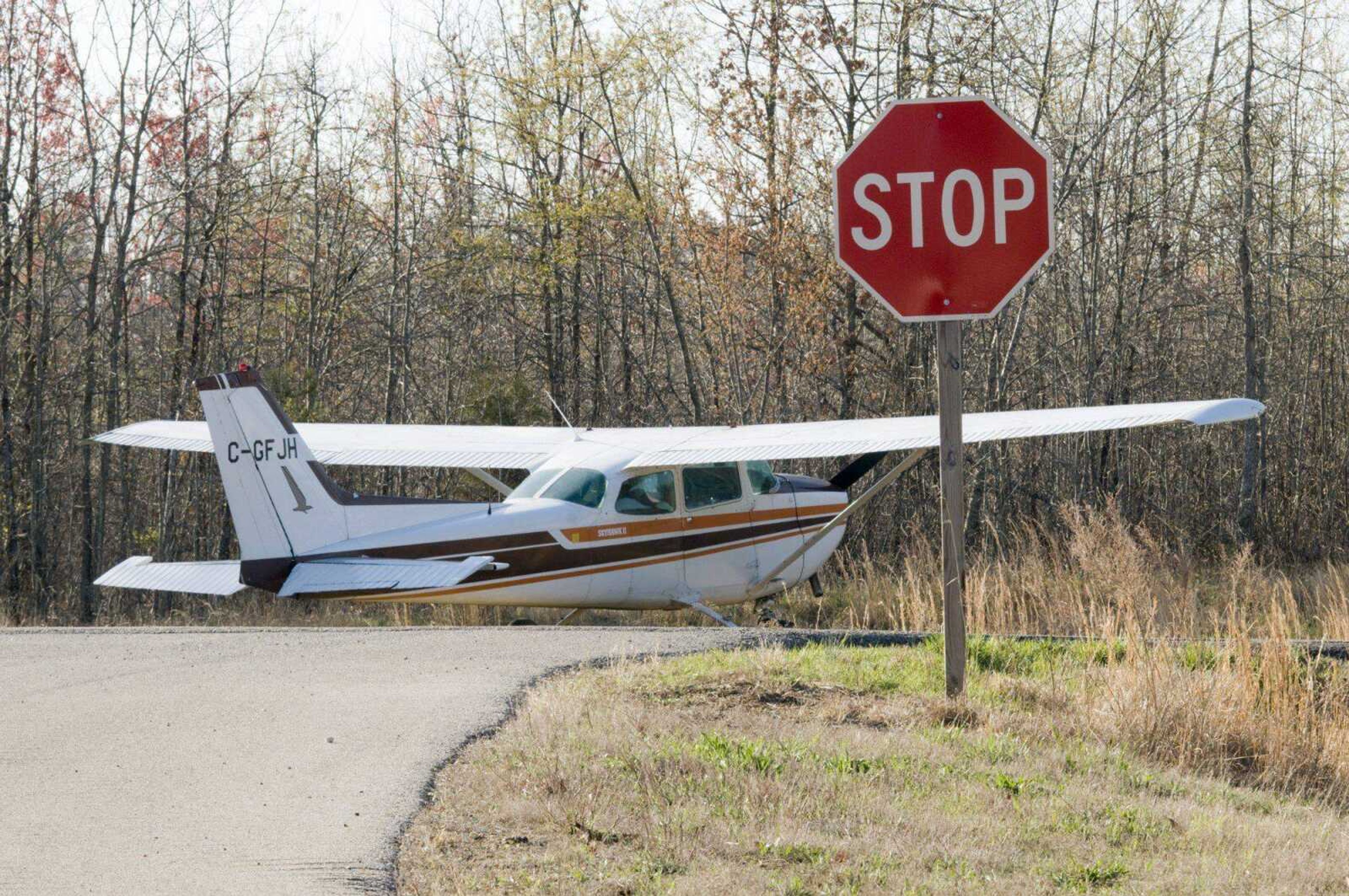 A single-engine, four-seat Cessna airplane, allegedly stolen from Ontario, Canada, sits along Route FF in Carter County on April 7. The plane landed a few miles west of Ellsinore, Mo., the day before. (Daily American Republic file photo)