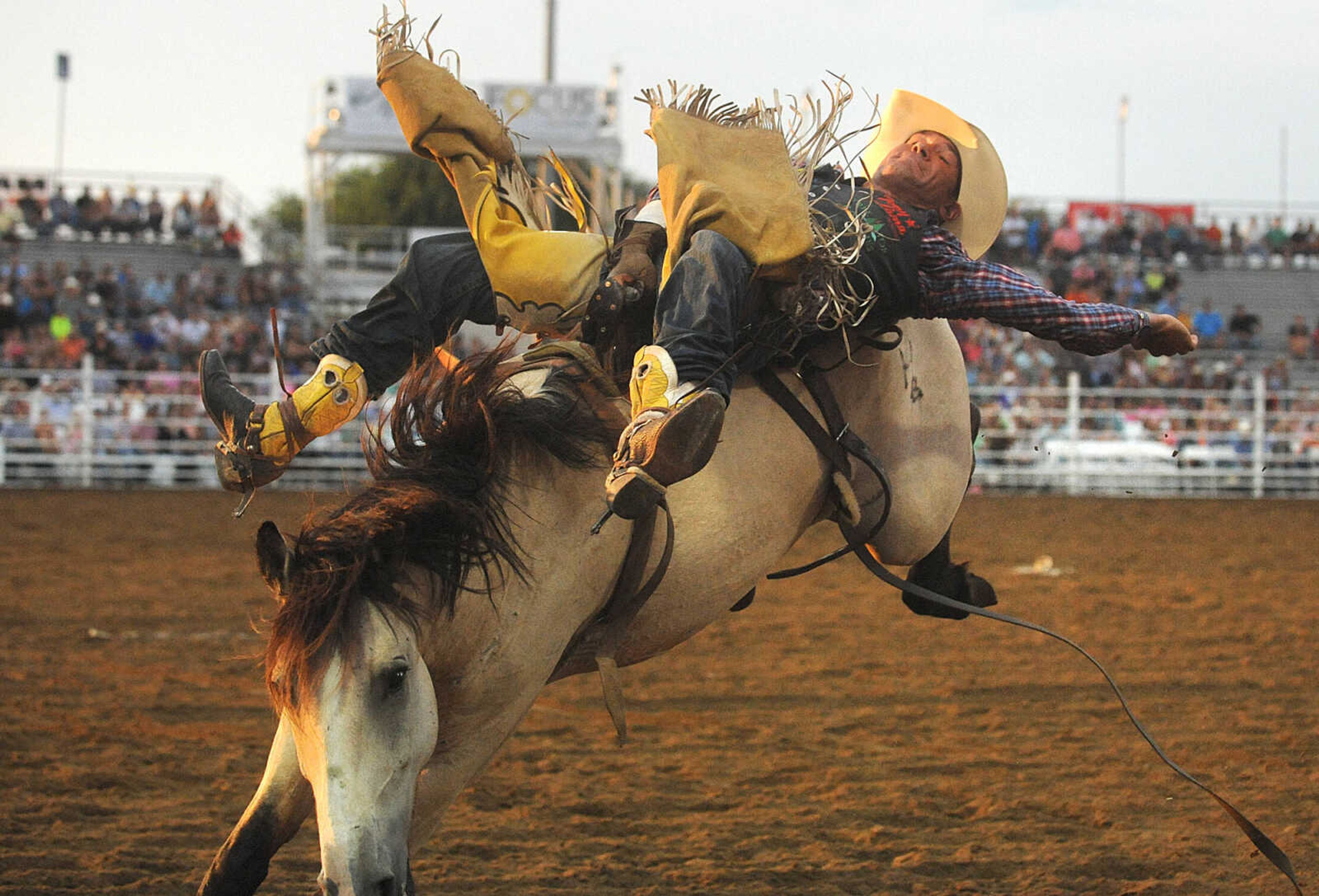 LAURA SIMON ~ lsimon@semissourian.com

Bobby Mote competes in bareback riding during the opening night of the Sikeston Jaycee Bootheel Rodeo, Wednesday, Aug. 6, 2014.