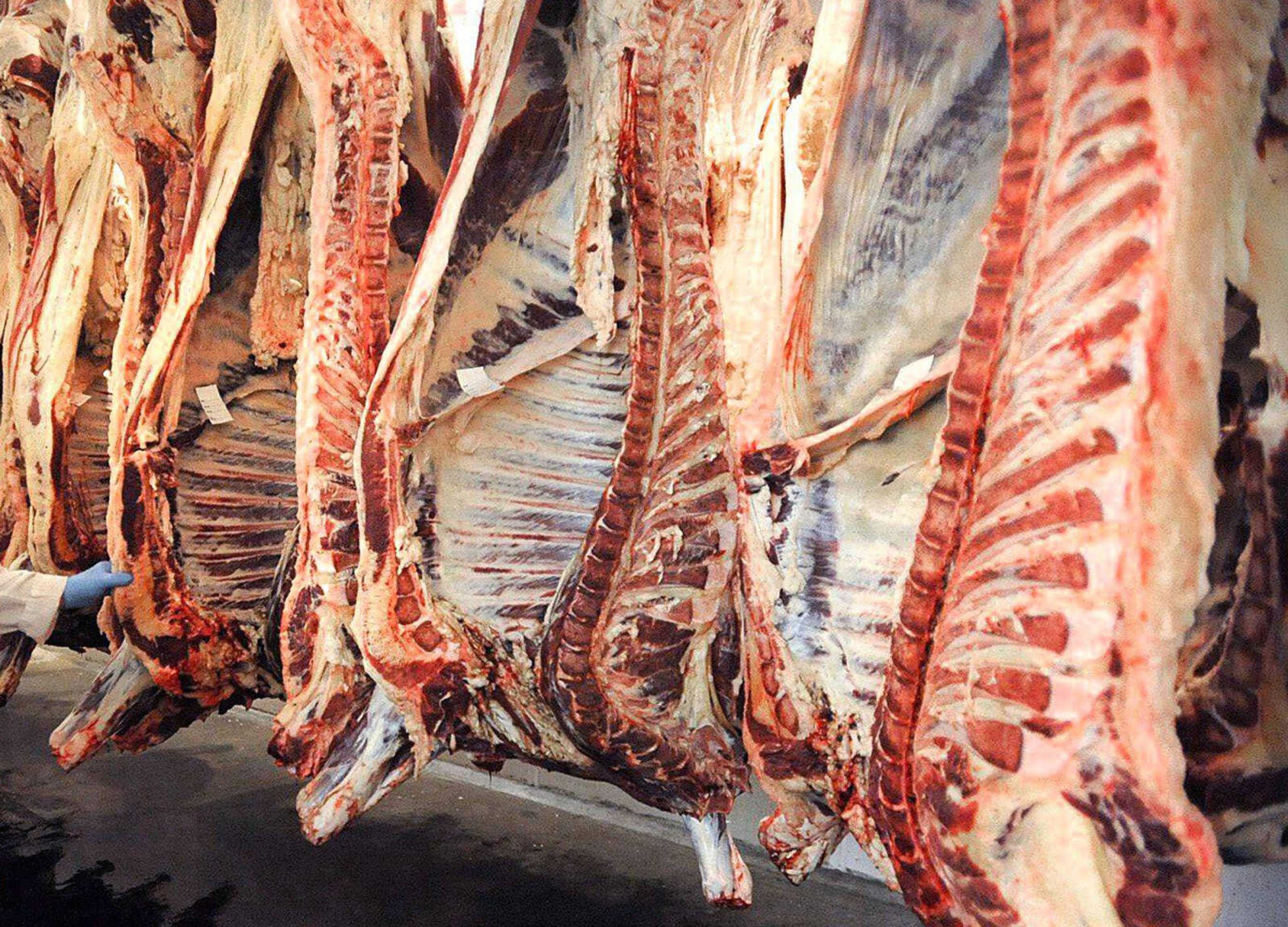 A view inside the meat locker at Fruitland American Meat in July 30, 2012.