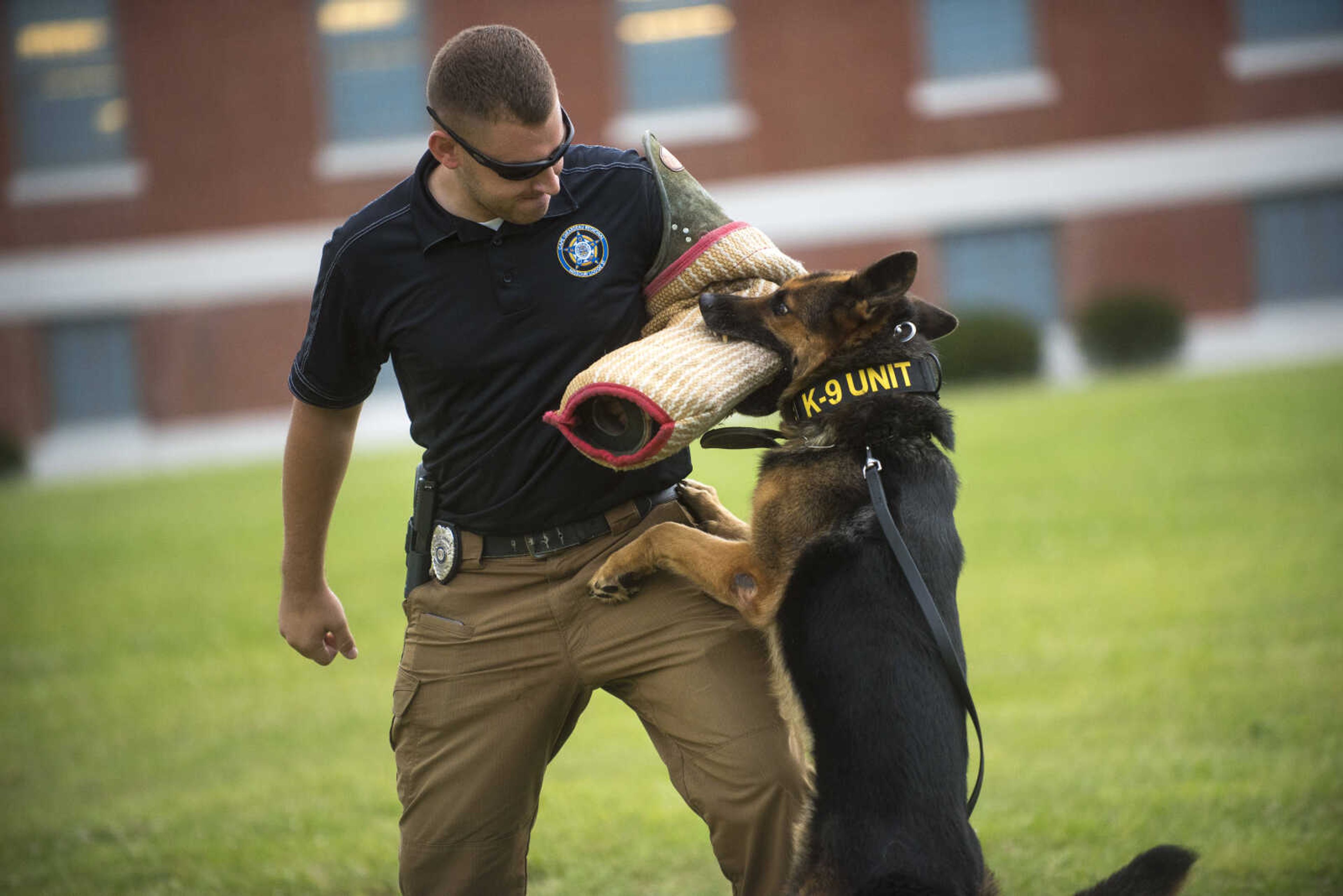 Officer Eric Steiner and K-9 officer Schupo demonstrate a real life in action situation outside of the Southeast Missouri State River Campus Monday, July 17, 2017 in Cape Girardeau. Sgt. Bryan Blattner (not pictured) said it is rare they use the K-9 units to take down a suspect and are usually used for searches and drugs.