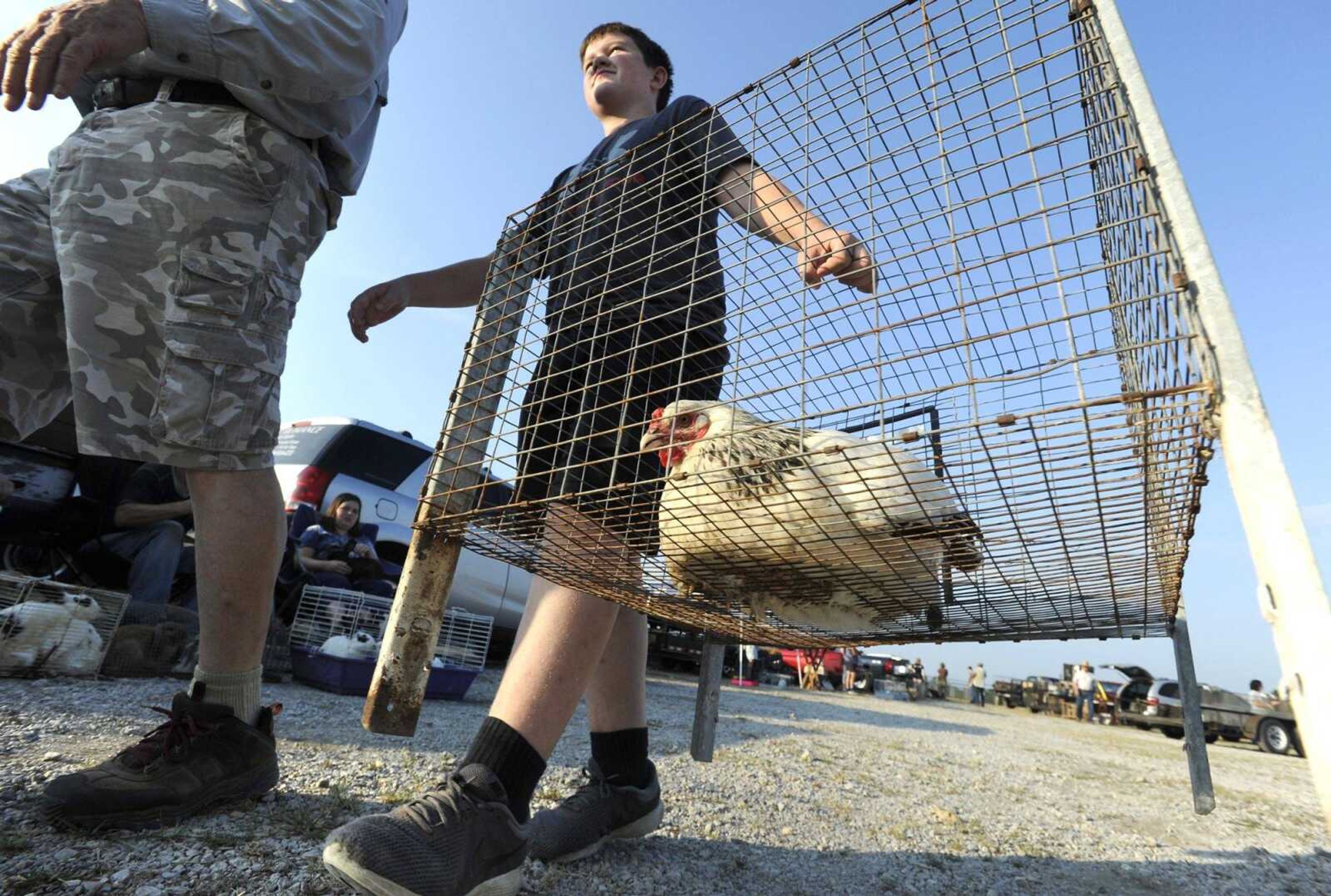 Fischer Scheiter of Altenburg, Missouri carries a Brahma chicken he bought for $8 July 14 at the Fruitland Swap Meet in Fruitland. The laying hen will joins about 10 other hens that produce eggs for Scheiter.