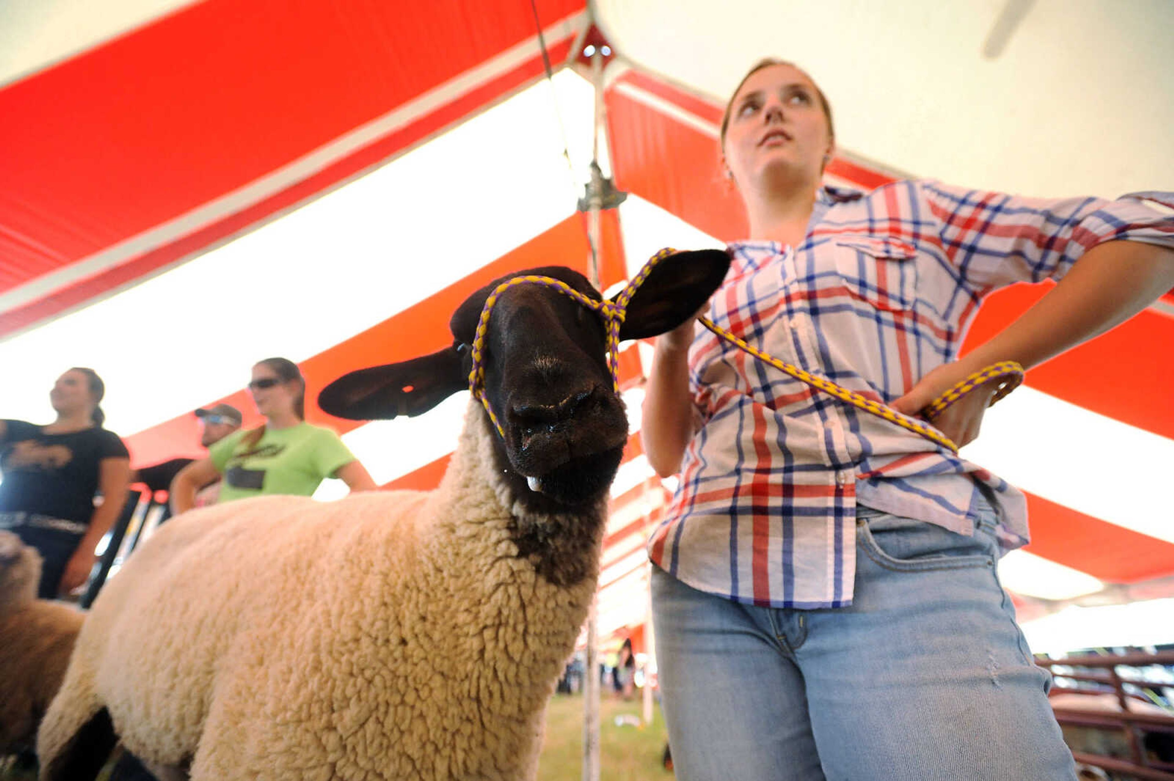 LAURA SIMON ~ lsimon@semissourian.com

Jera Kranawetter waits with her sheep on Wednesday, Sept. 14, 2016, during the sheep judging at the SEMO District Fair at Arena Park in Cape Girardeau.