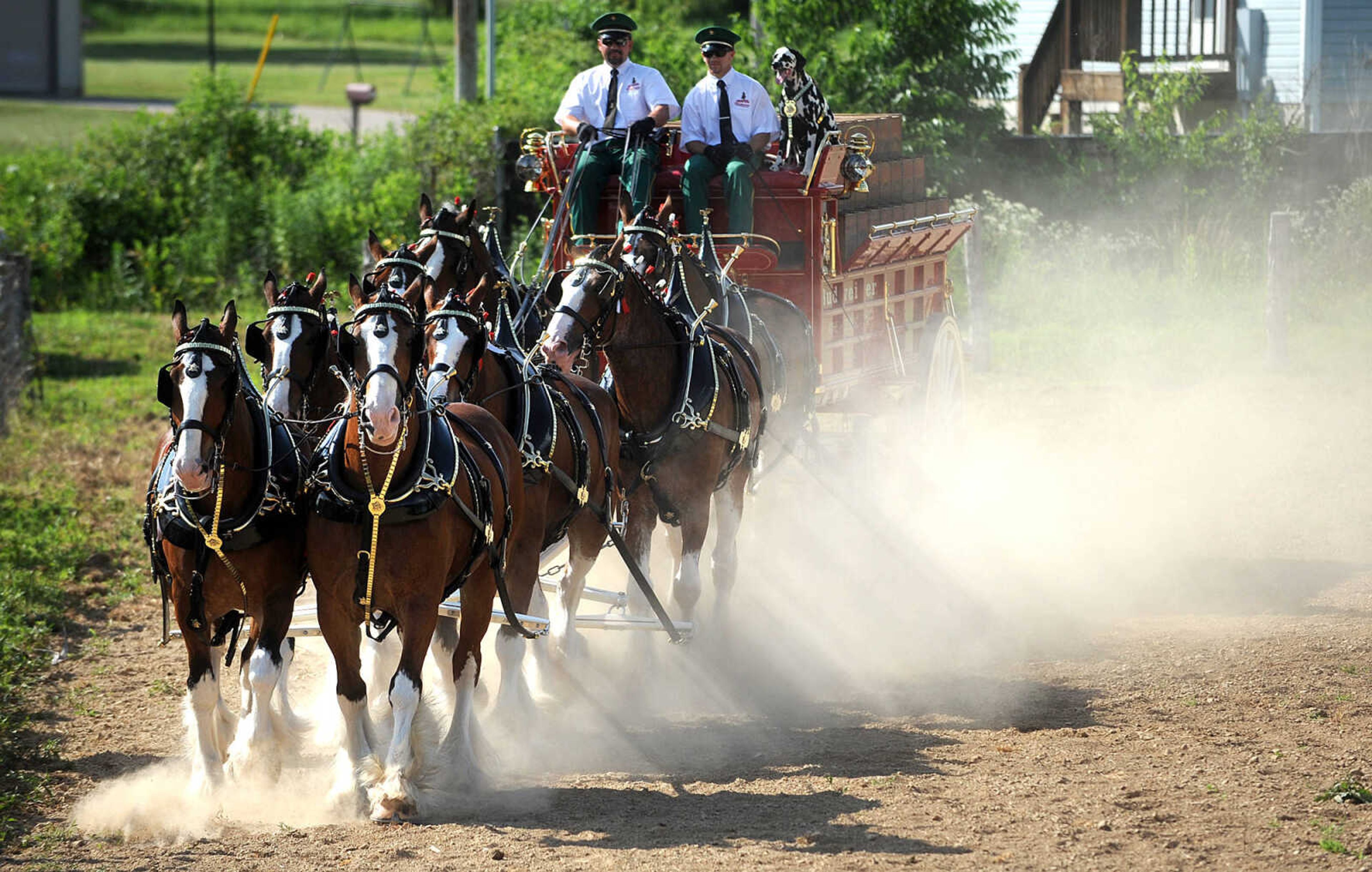 LAURA SIMON ~ lsimon@semissourian.com

The Budweiser Clydesdales make an appearance at The Hope Theraputic Horsemanship Center in Perryville, Missouri, Friday, June 20, 2014.