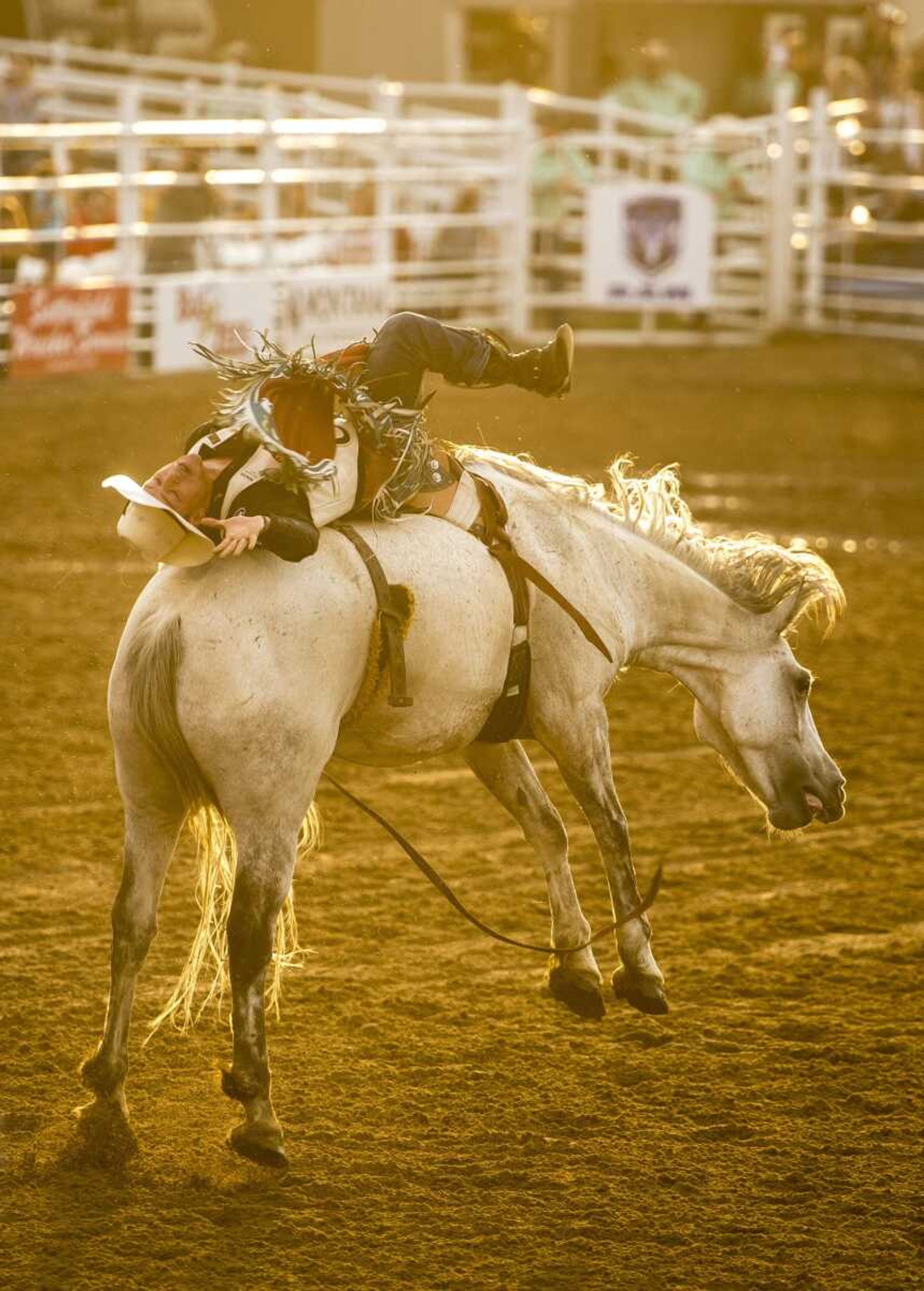 Kash Wilson rides a bronco during the Sikeston Jaycee Bootheel Rodeo Wednesday in Sikeston.