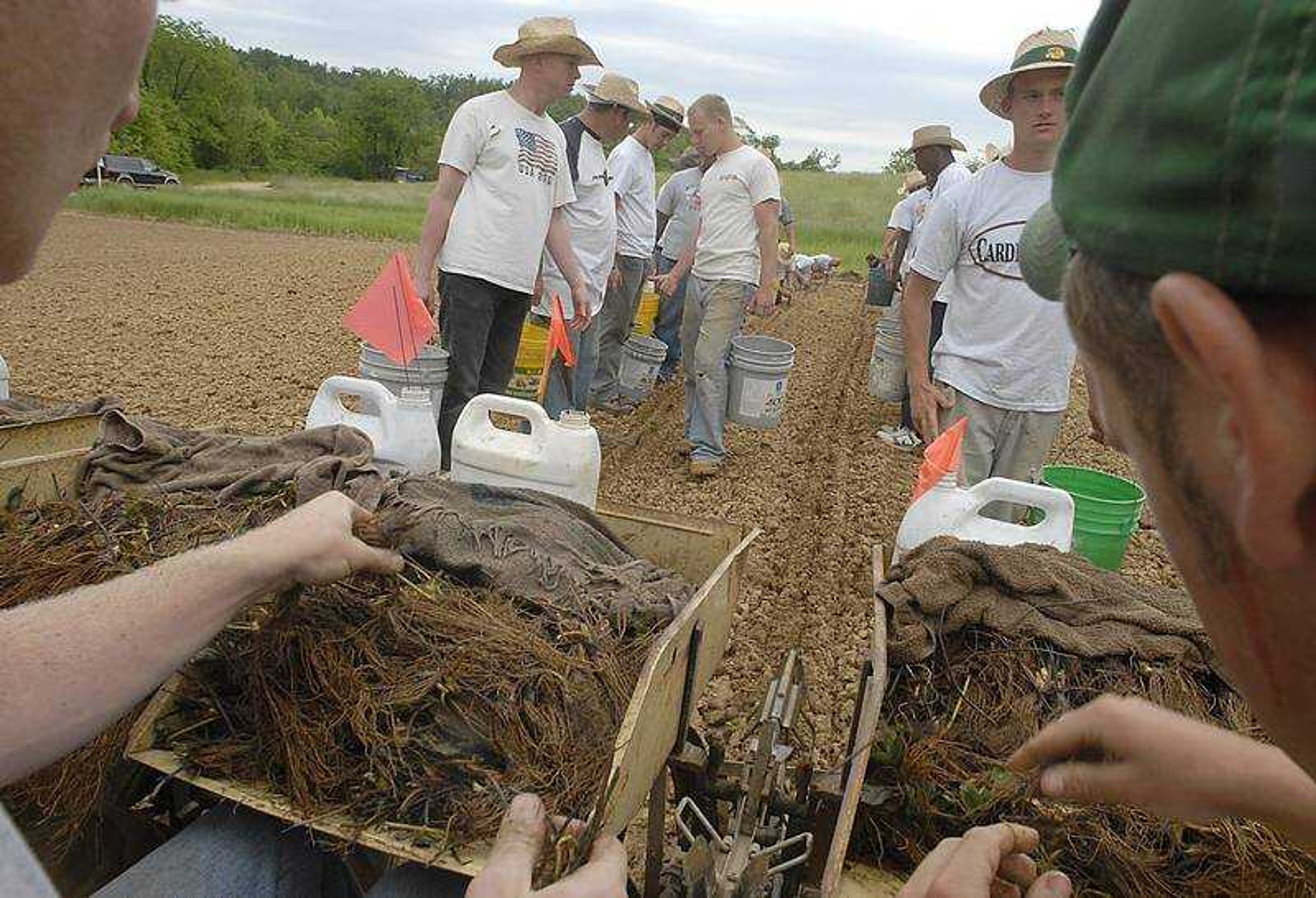 KIT DOYLE ~ kdoyle@semissourian.com
Teen Challenge students lined up behind a tractor Thursday to check each plant after a converted tobacco planter laid a row of strawberries. Teen Challenge field rotations allow for three crops per planting. The first harvest of this field will be next spring.