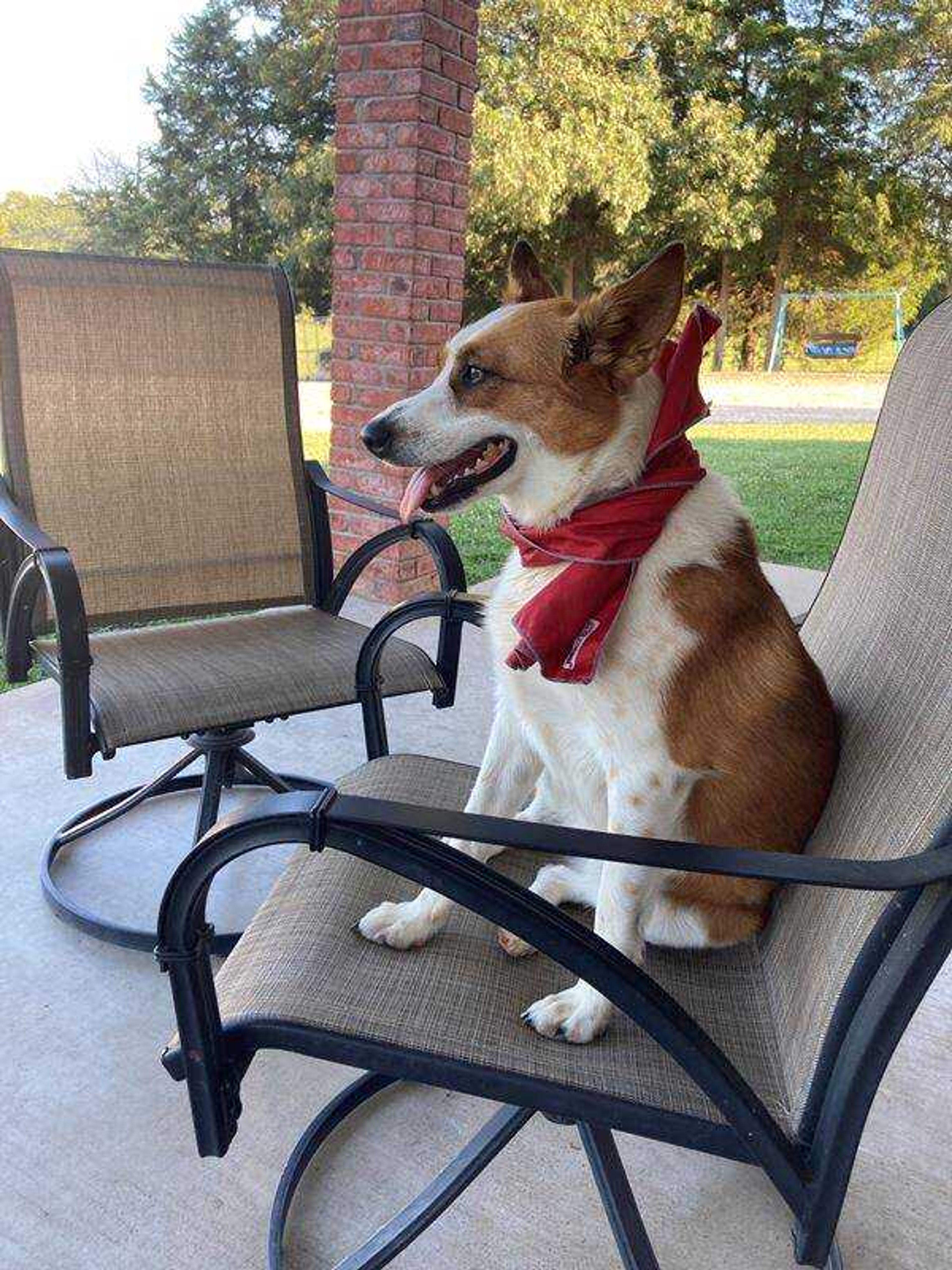 Kat - I'm waiting for my cold drink!!!doesn't everyone. wear a cooling towel when it's hot?