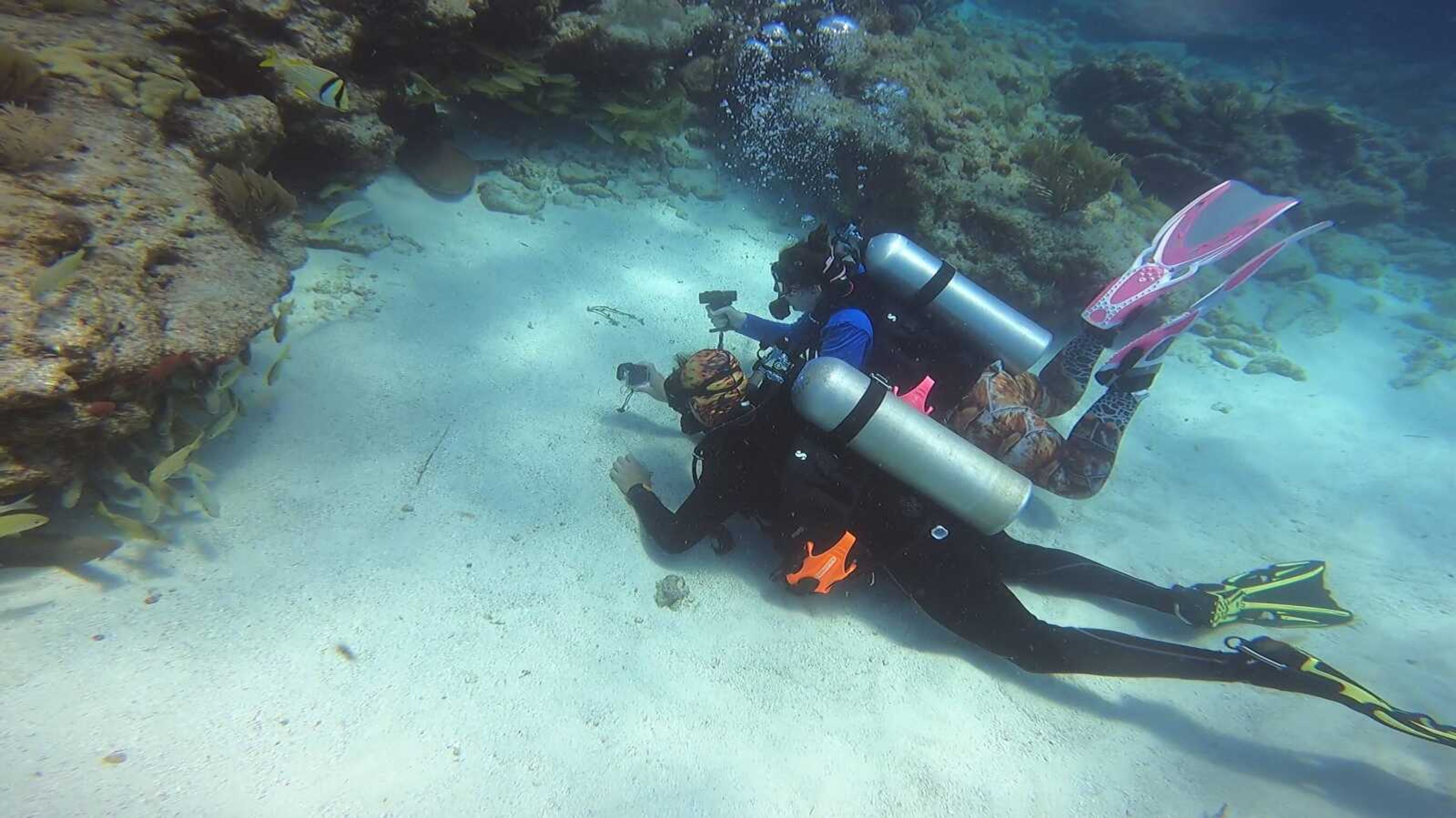 Quentin and Amber Kimbrell search for lobster while scuba diving. They met each other on a scuba diving trip in the Cayman Islands. 