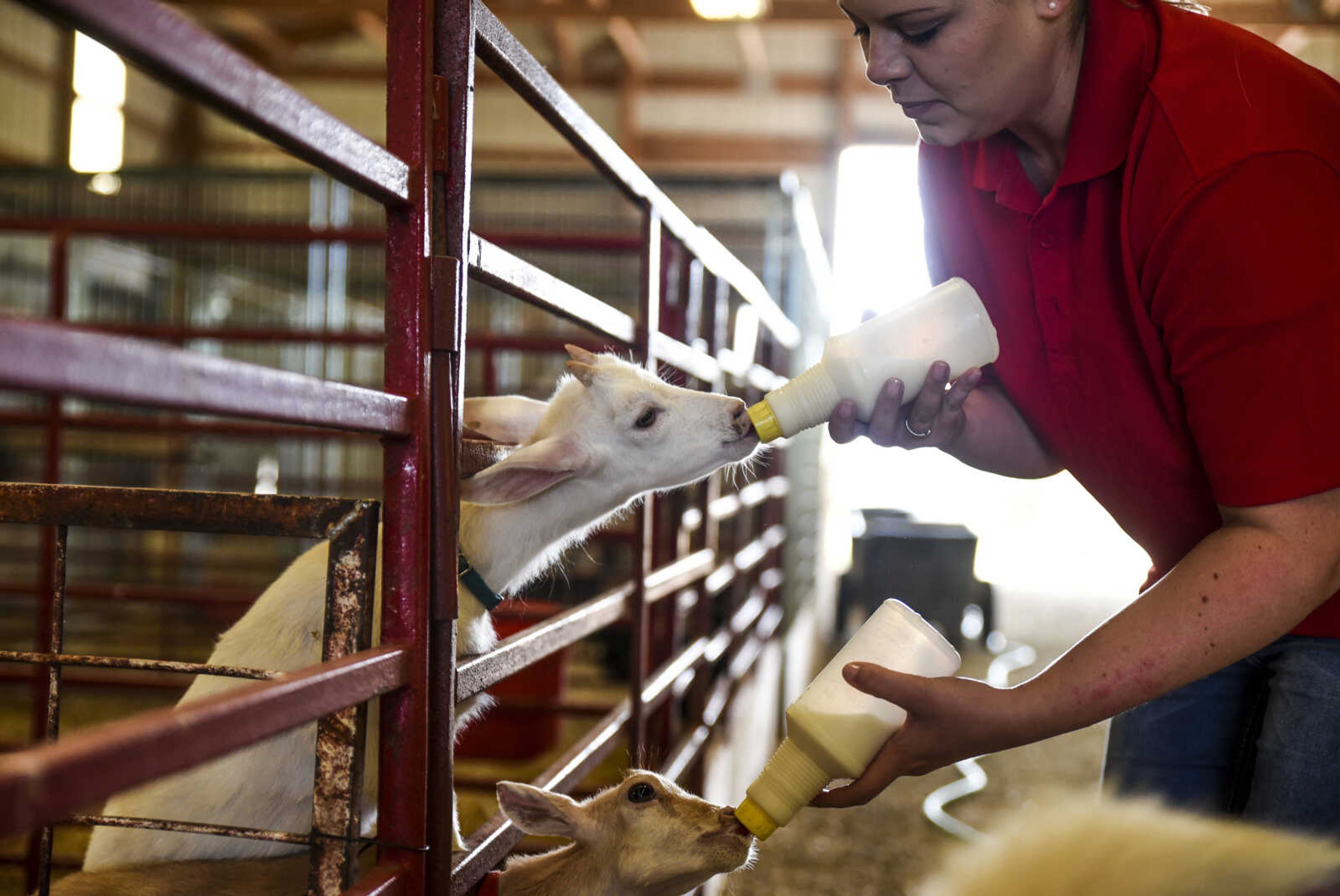 Lindsay Lemons bottle feeds two young goats during the morning routine at Lazy L Safari Park Sunday, July 8, 2018 in Cape Girardeau.