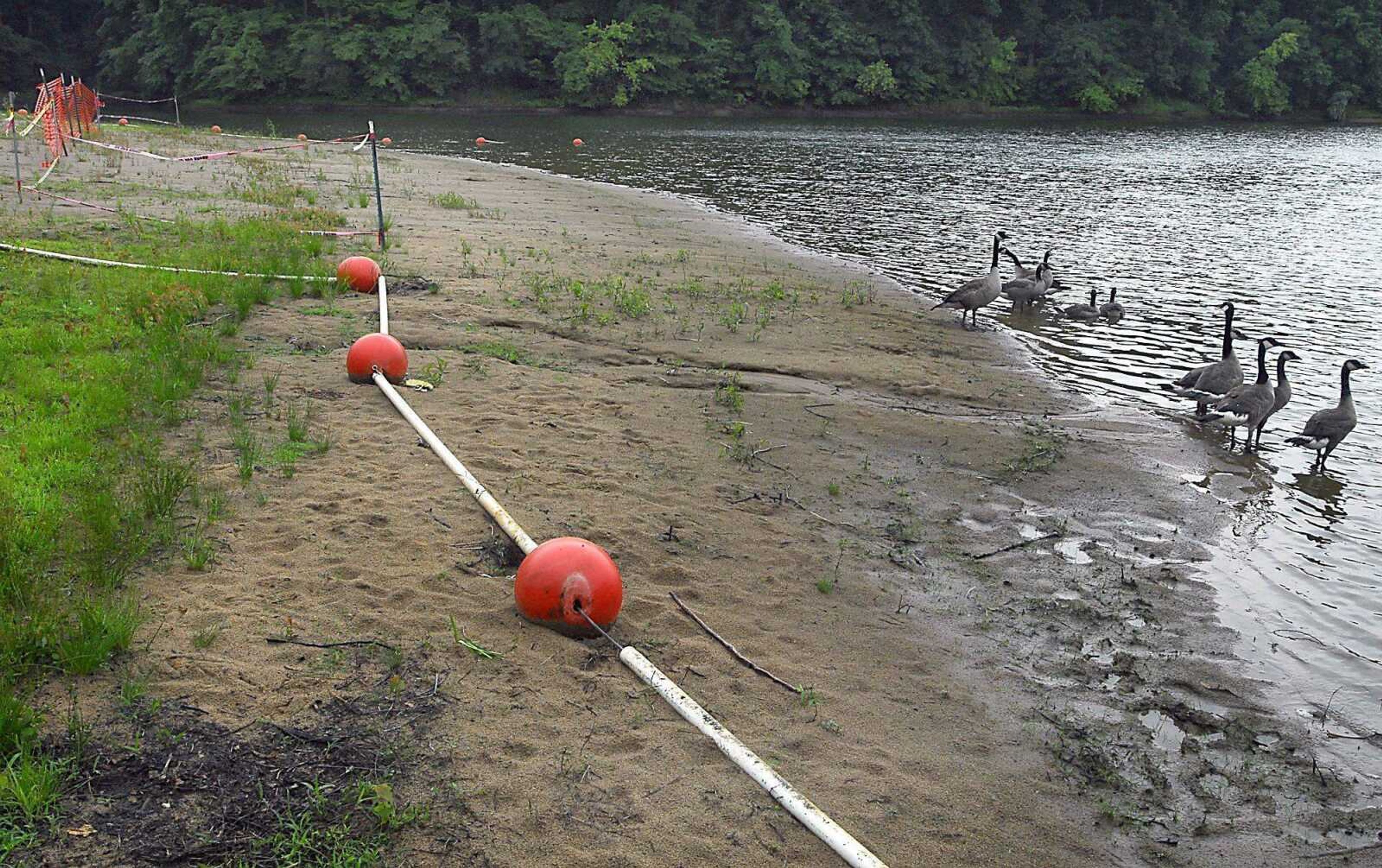 Geese are the only swimmers allowed in Lake Boutin at Trail of Tears State Park north of Cape Girardeau. (Kit Doyle)