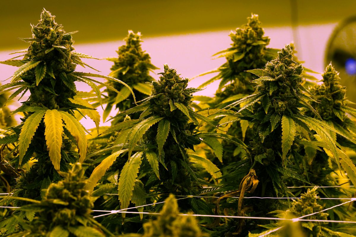 Virginia to allow recreational marijuana to be sold in retai...