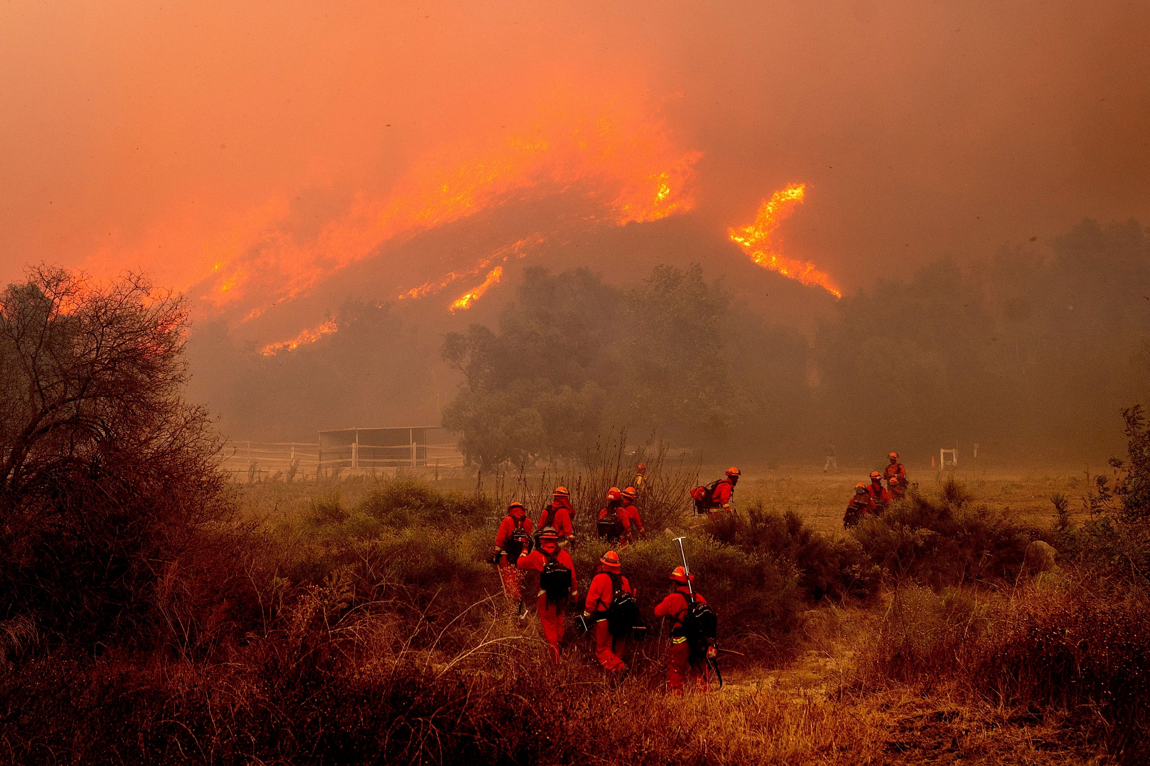 Inmate firefighters battle the Mountain Fire at Swanhill Farms in Moorpark, Calif., Nov. 7, 2024. (AP Photo/Noah Berger)