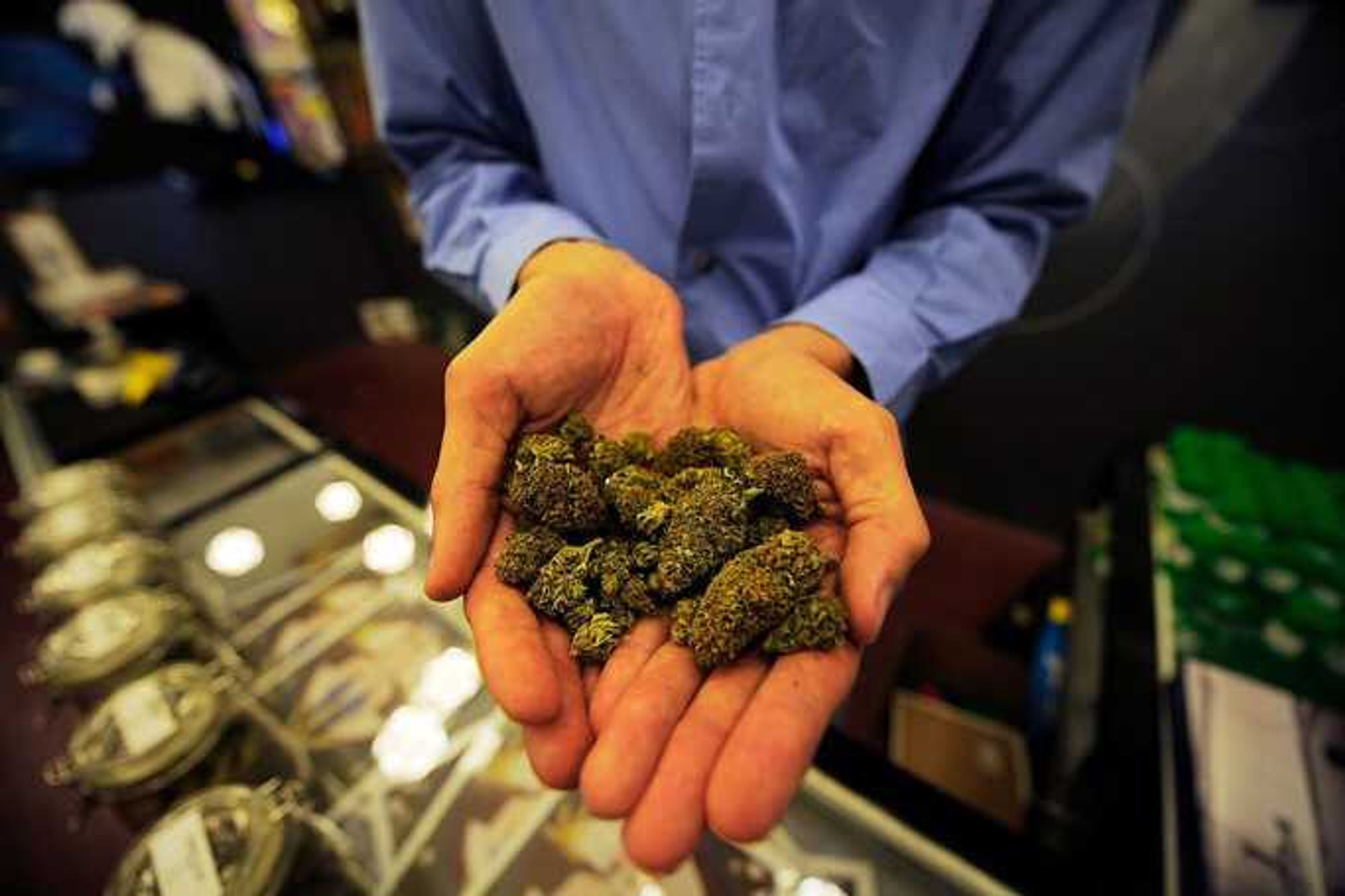 Tim Blakeley, manager of Sunset Junction medical marijuana dispensary, shows marijuana plant buds May 11, 2010, in Los Angeles.