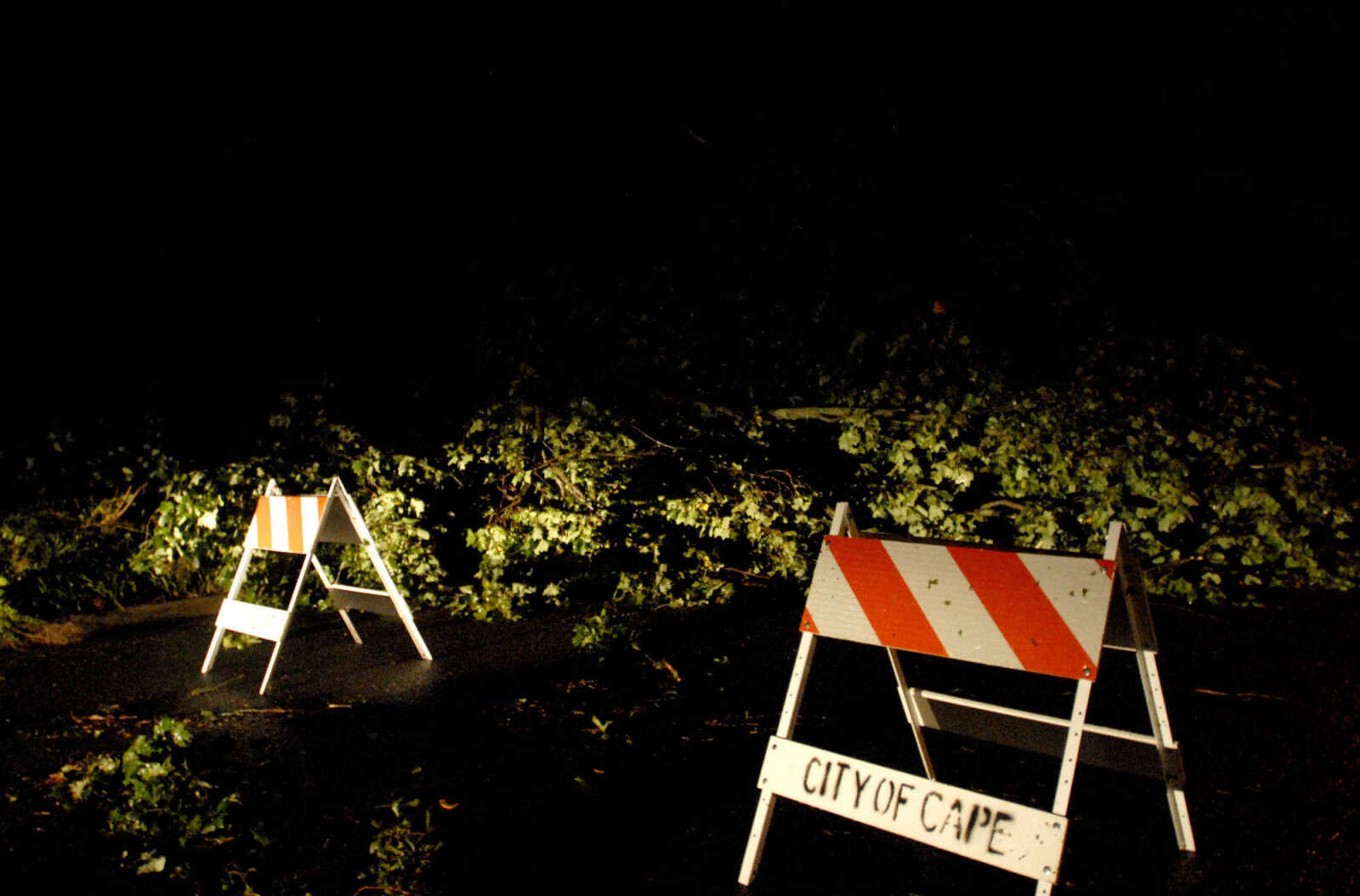 ELIZABETH DODD ~ edodd@semissourian.com
A tree blocks Bellevue Street near Lorimier.