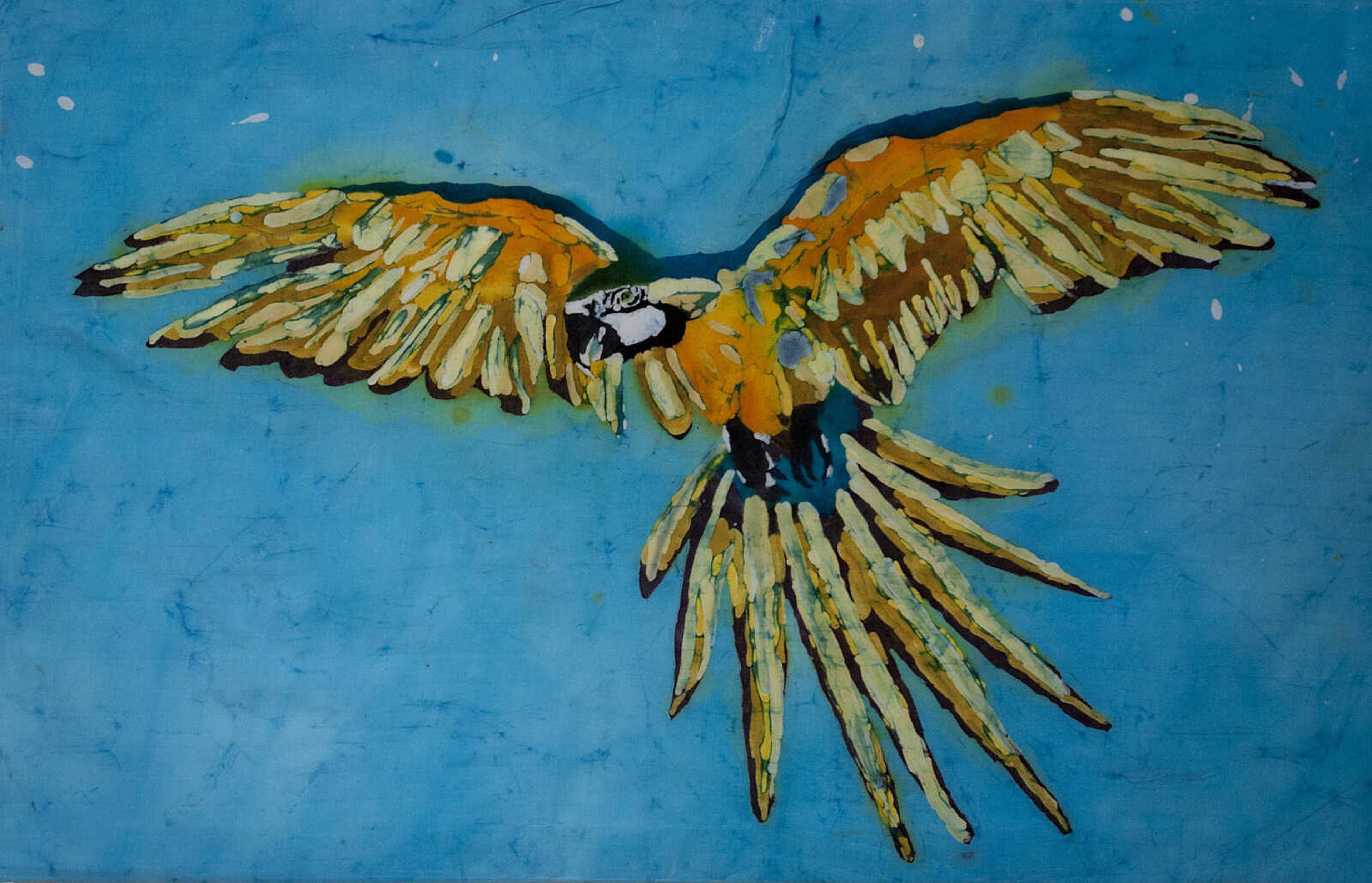 "Macaw," by Sierra Maddox, from Jackson High School, hangs in the the Crisp Museum as part of the 36th annual High School Art Exhibition Sunday, Feb. 9, at the River Campus.