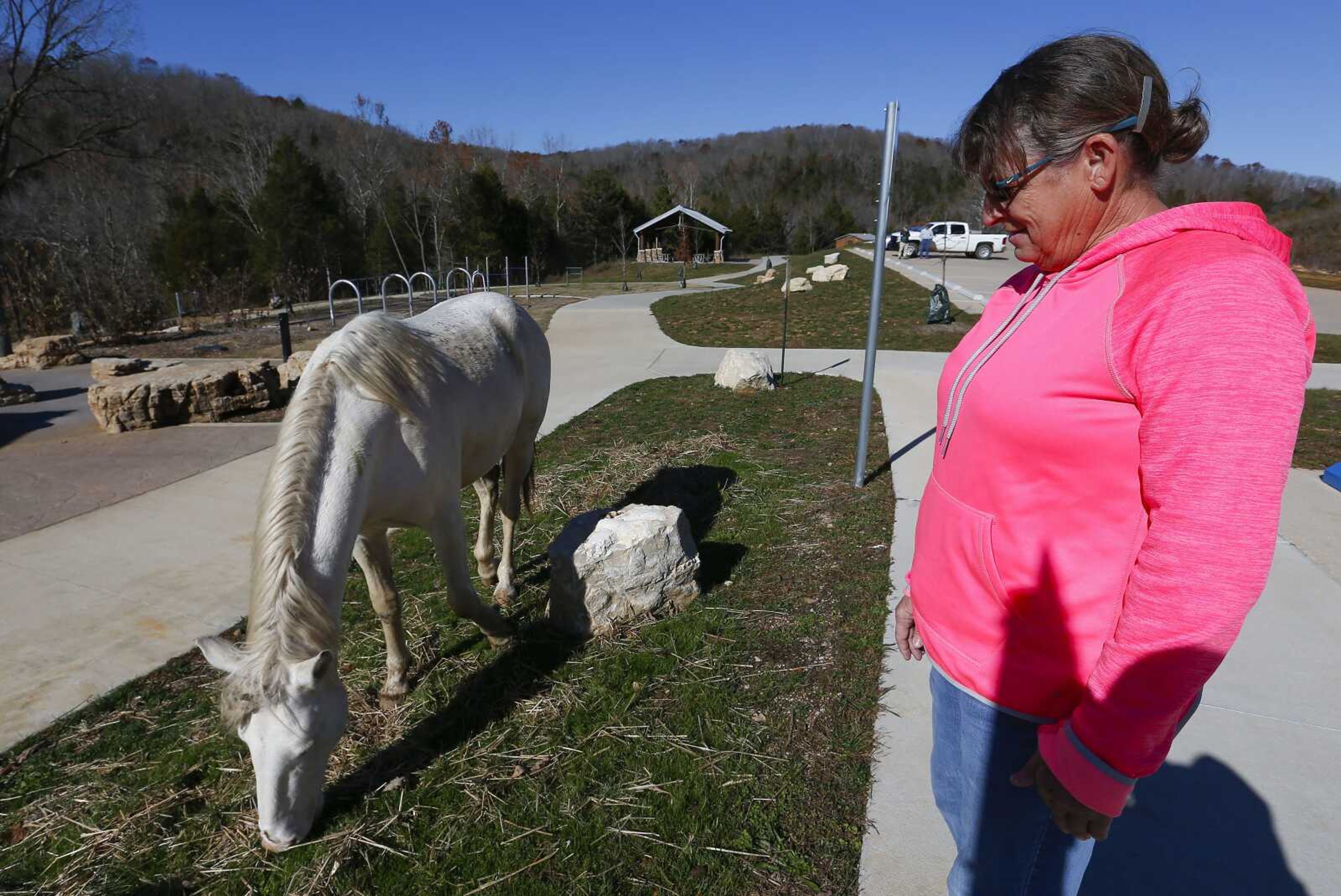 Brenda Collier of Dexter, Missouri, watches a wild horse as it grazes on grass at Echo Bluff State Park on Nov. 16 in Eminence, Missouri.