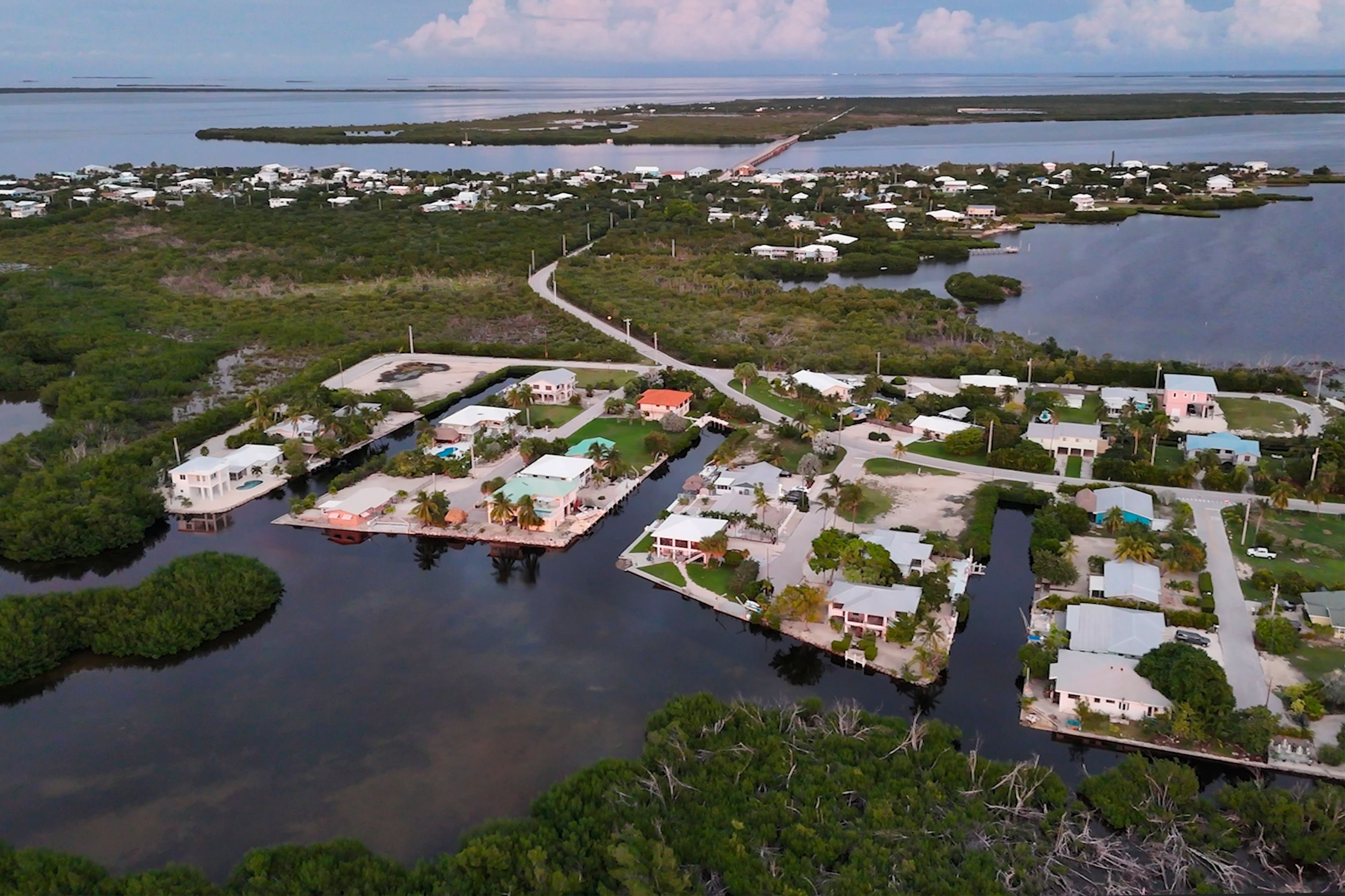 This photo shows the habitat for the Key Deer, the smallest subspecies of the white-tailed deer that have thrived in the piney and marshy wetlands of the Florida Keys, Tuesday, Oct. 15, 2024, in Big Pine Key, Fla. (AP Photo/Daniel Kozin)