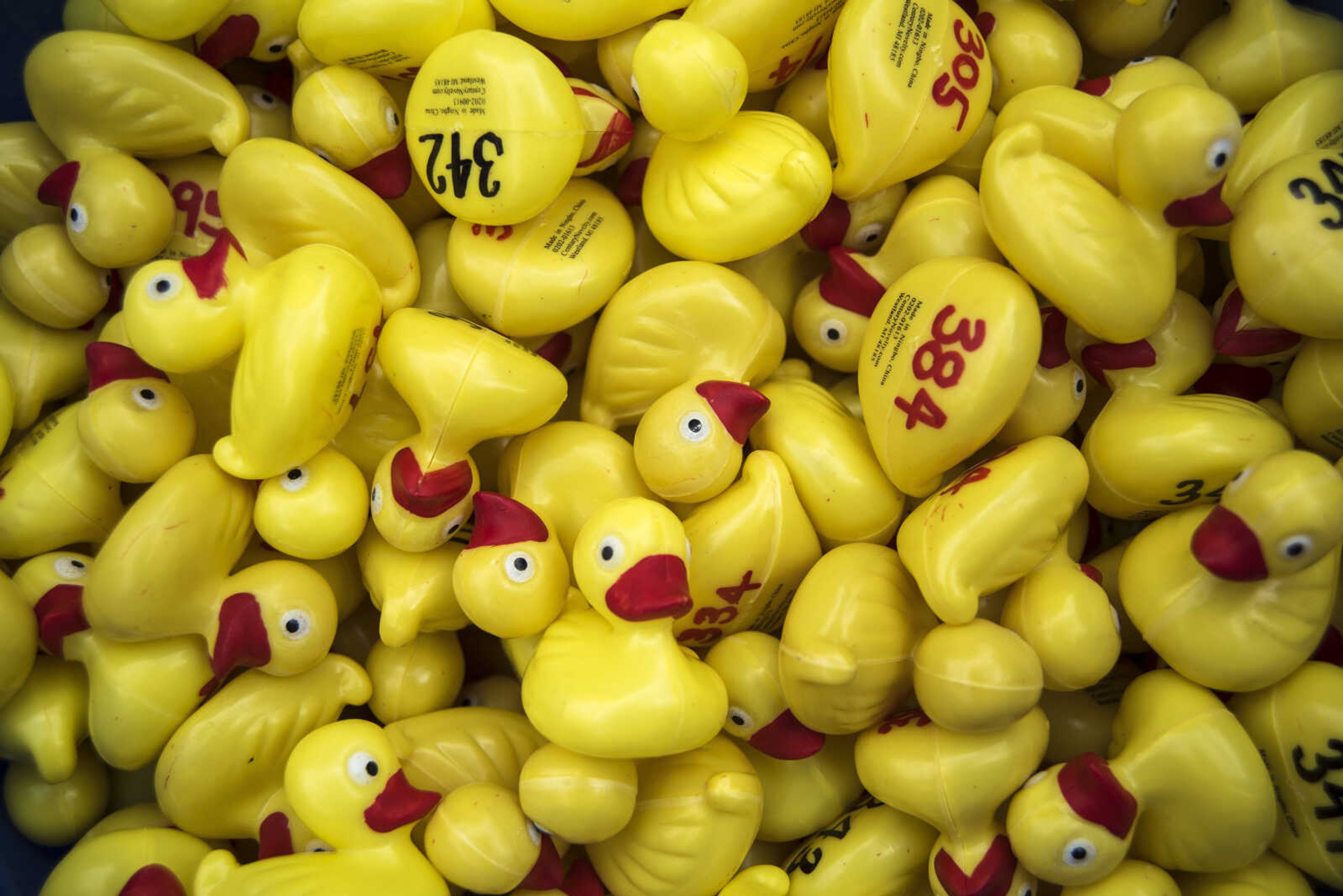 Rubber ducks wait to race during the duck race for the Jackson Parks and Recreation's July 4th celebration Tuesday, July 4, 2017 in Jackson City Park.