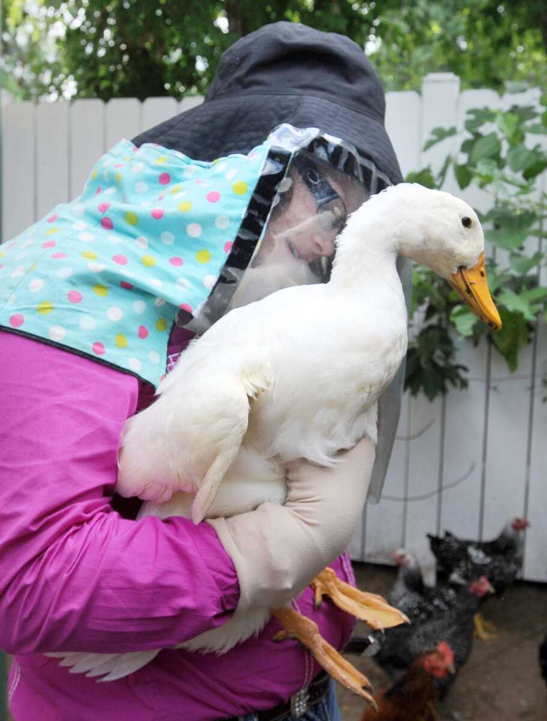 Graycen Beardslee, 13, holds her duck, Ming-Ming. (Laura Simon)