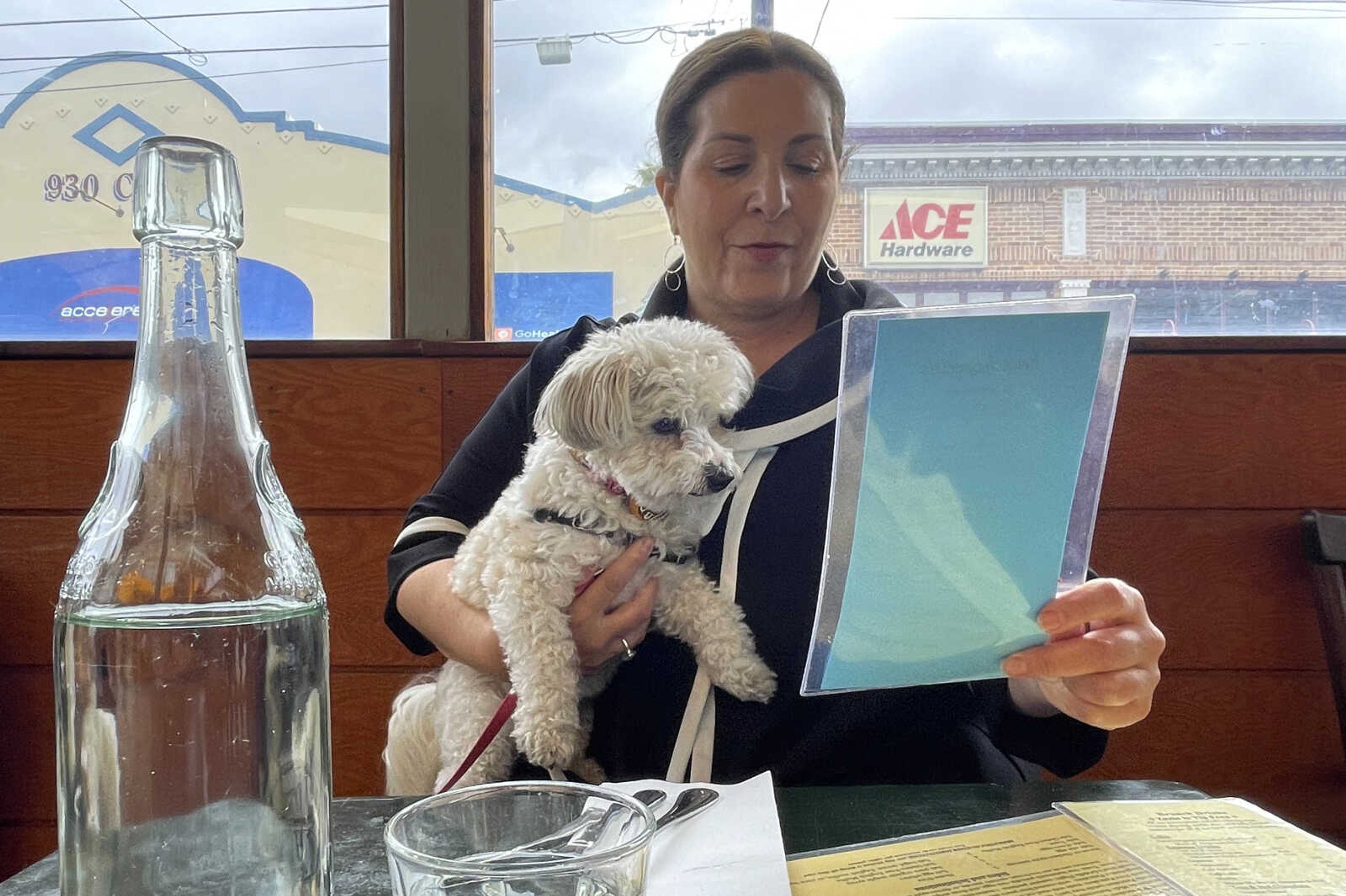 Ilana Minkoff checks out the menu with her dog JoJo Wigglebutt on May 5 at a restaurant in San Francisco. Just in time for the summer dining season, the U.S. government has given its blessing to restaurants that want to allow pet dogs in their outdoor spaces.