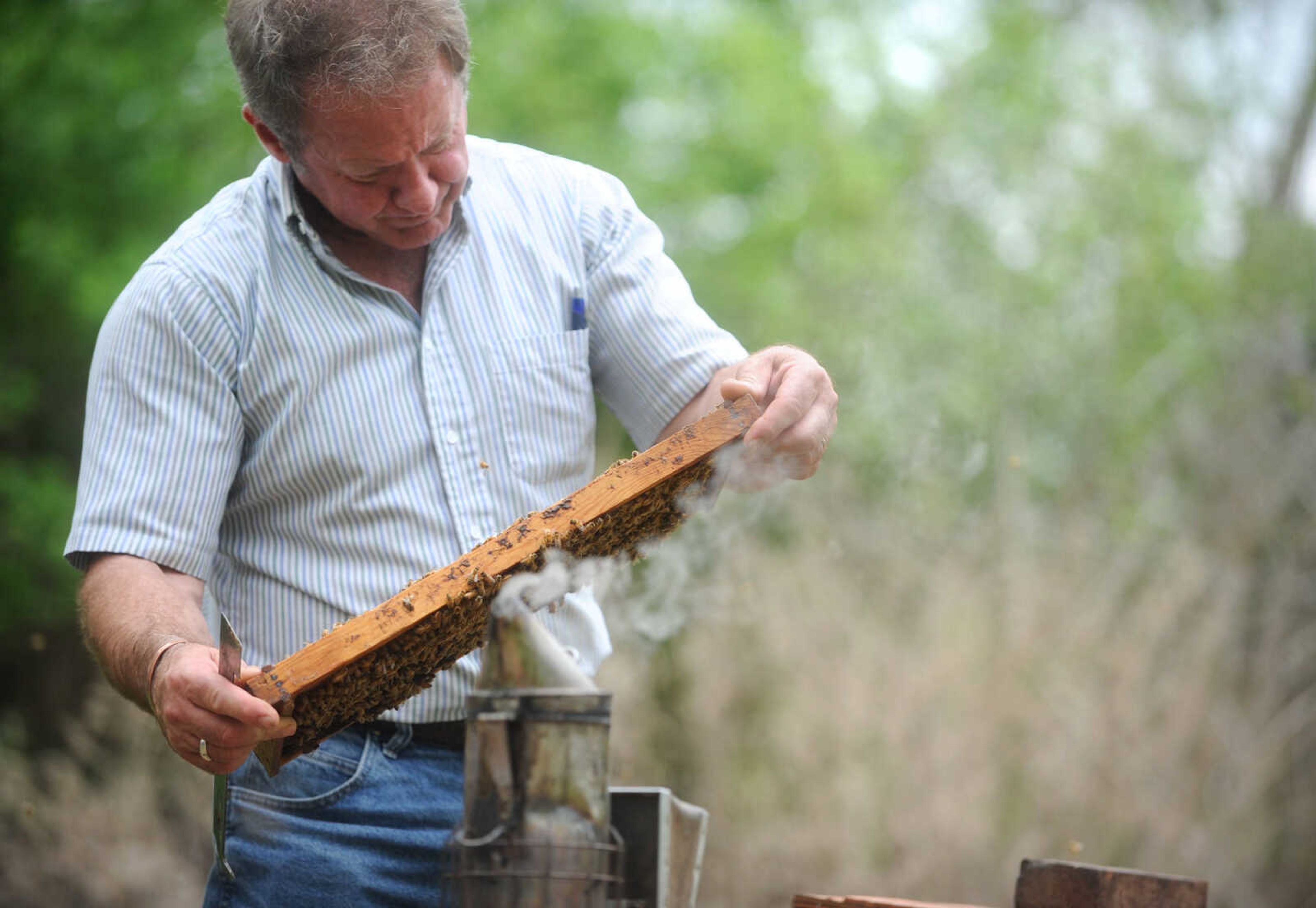 LAURA SIMON ~ lsimon@semissourian.com

Grant Gilliard checks on his beehives in Cape Girardeau County.