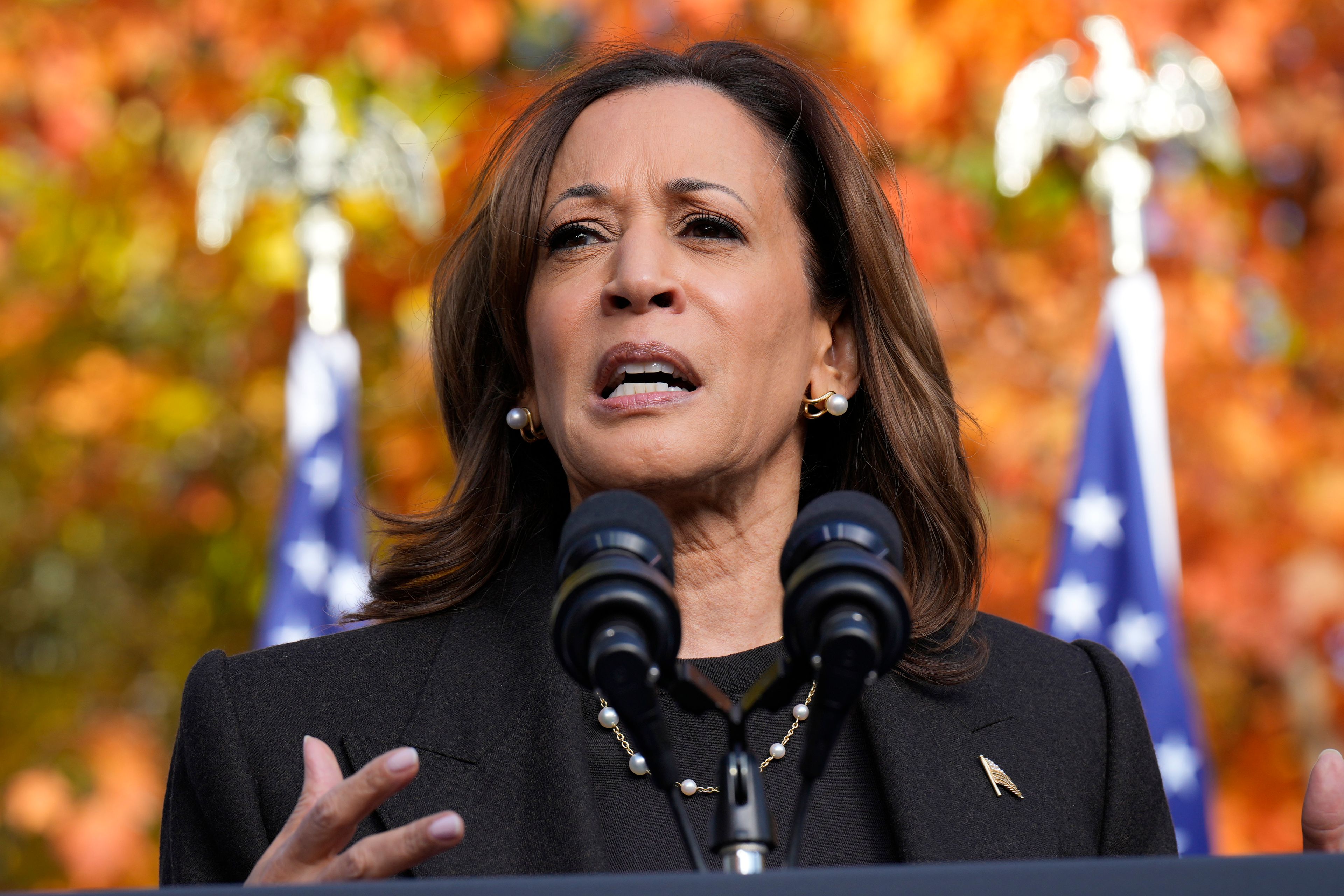 Democratic presidential nominee Vice President Kamala Harris speaks during a campaign event at Riverside Park in Grand Rapids, Mich., Friday, Oct. 18, 2024. (AP Photo/Jacquelyn Martin)