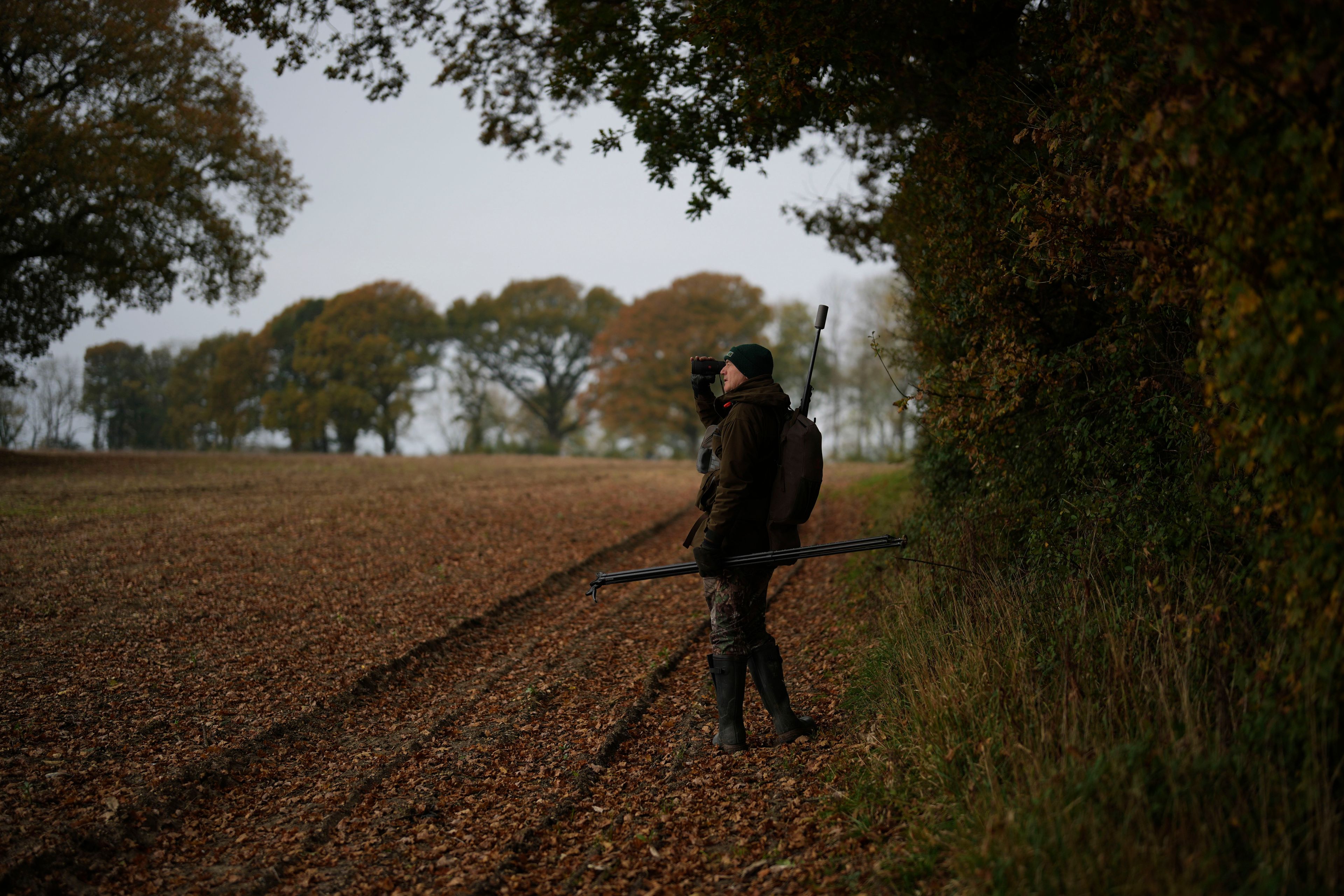 HOLD FOR STORY BY SYLVIA HUI Martin Edwards, Head of Deer and Woodland Management at BASC (The British Association for Shooting and Conservation), looks for a deer in a woods at Tichborne, east of Winchester in Hampshire, England, Monday, Nov. 4, 2024. Wild deer numbers have dramatically multiplied in recent decades and there are now more deer in England than at any other time in the last 1,000 years, according to the Forestry Commission, the government department looking after England's public woodland.(AP Photo/Kin Cheung)