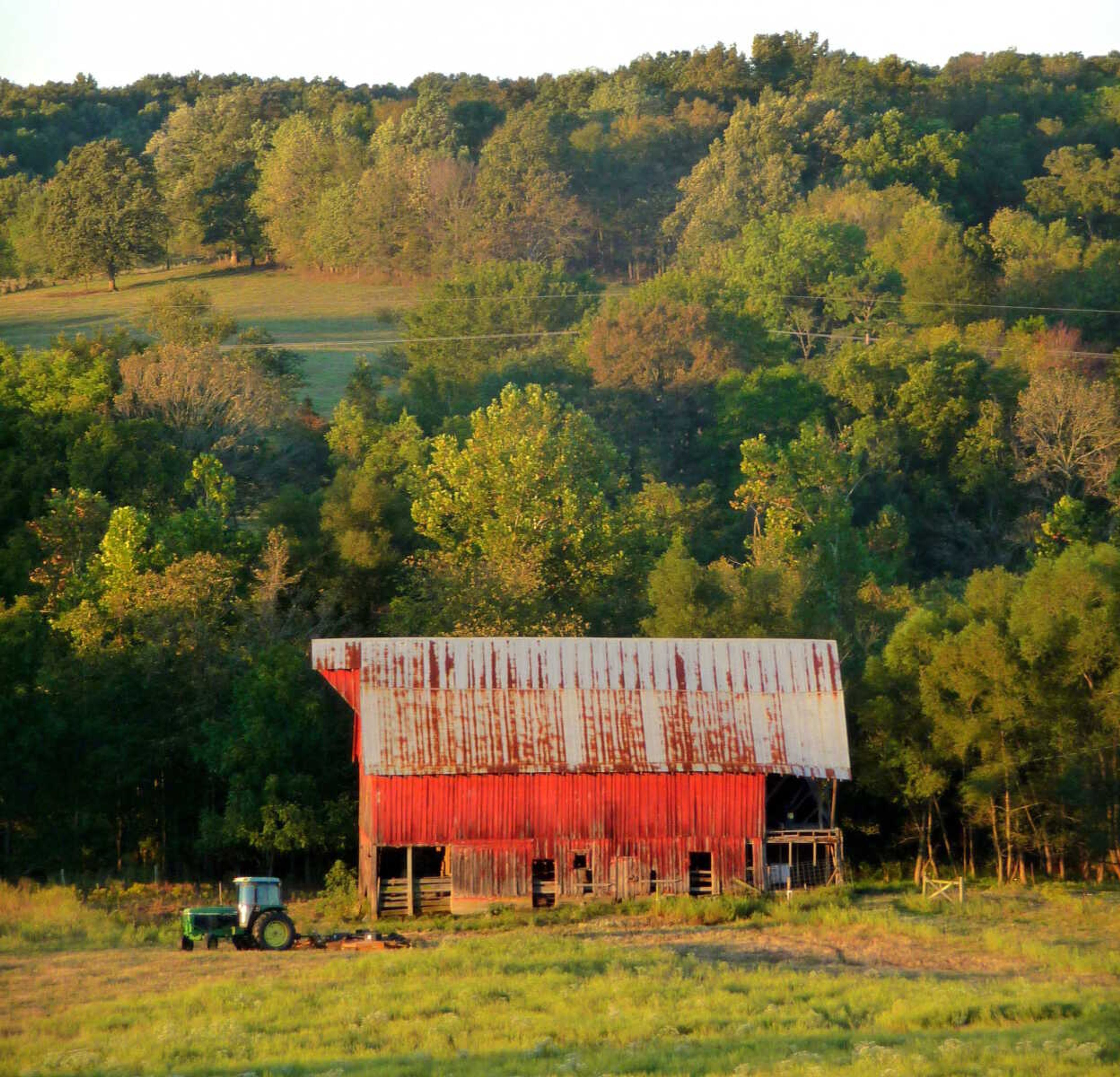 Rural Bollinger County