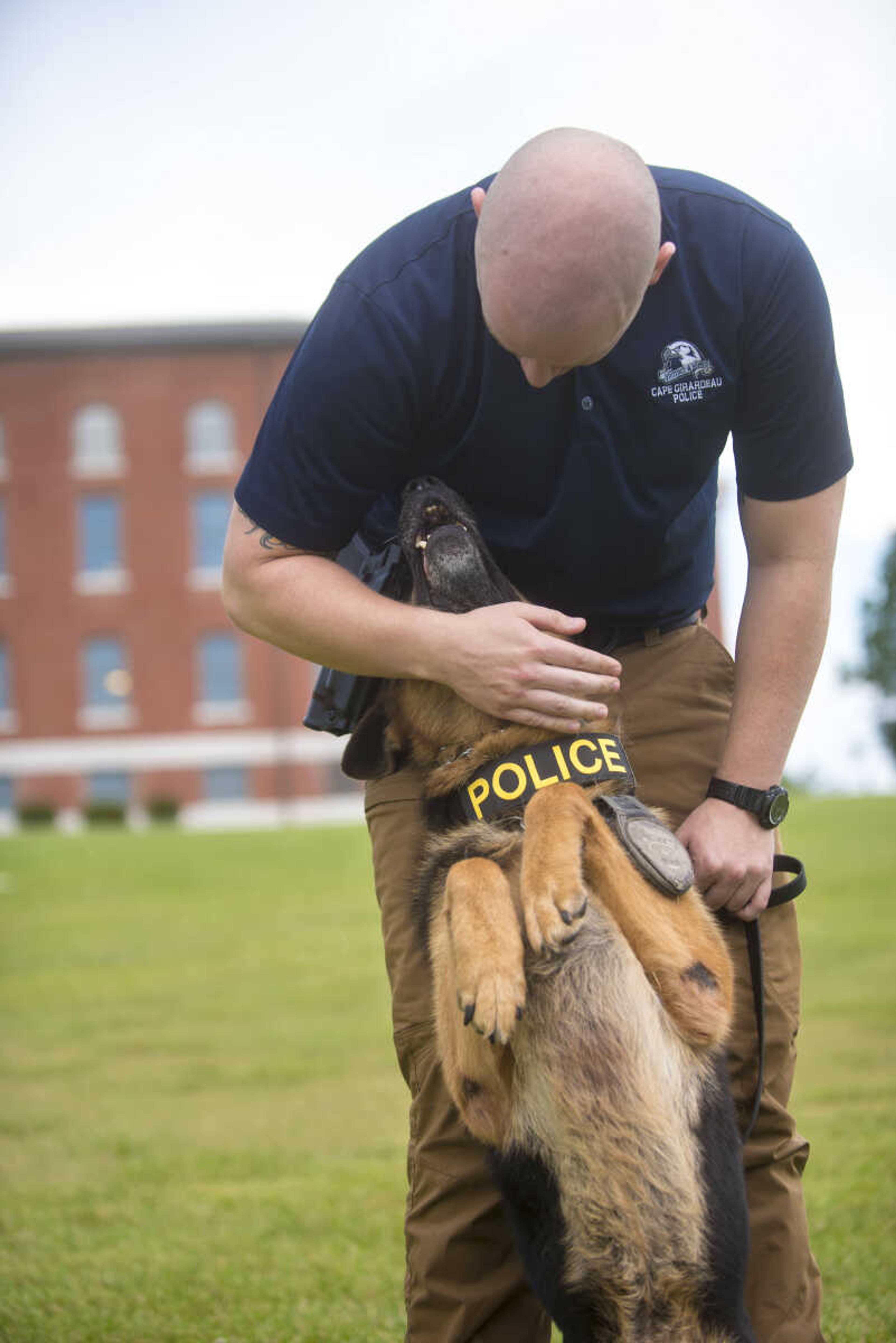 Sgt. Bryan Blanner pets K-9 officer Schupo outside of the Southeast Missouri State River Campus Monday, July 17, 2017 in Cape Girardeau.