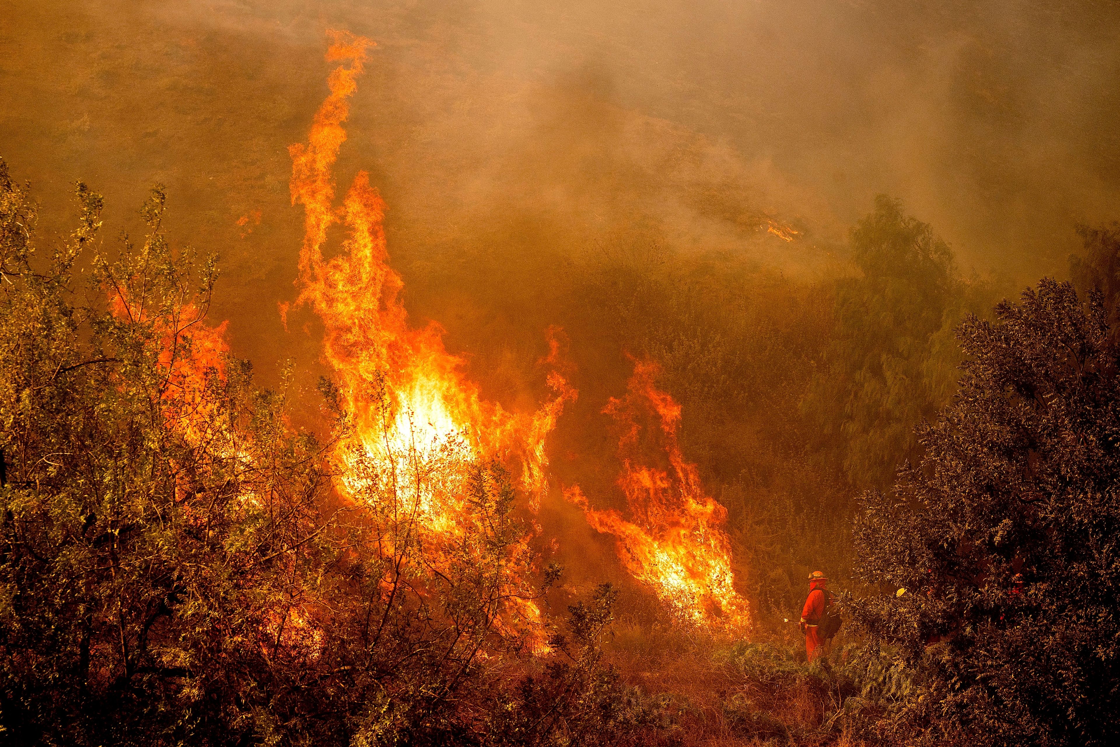 A firefighter battling the Mountain Fire watches flames from a firing operation burn off vegetation around Swanhill Farms in Moorpark, Calif., Nov. 7, 2024. (AP Photo/Noah Berger)