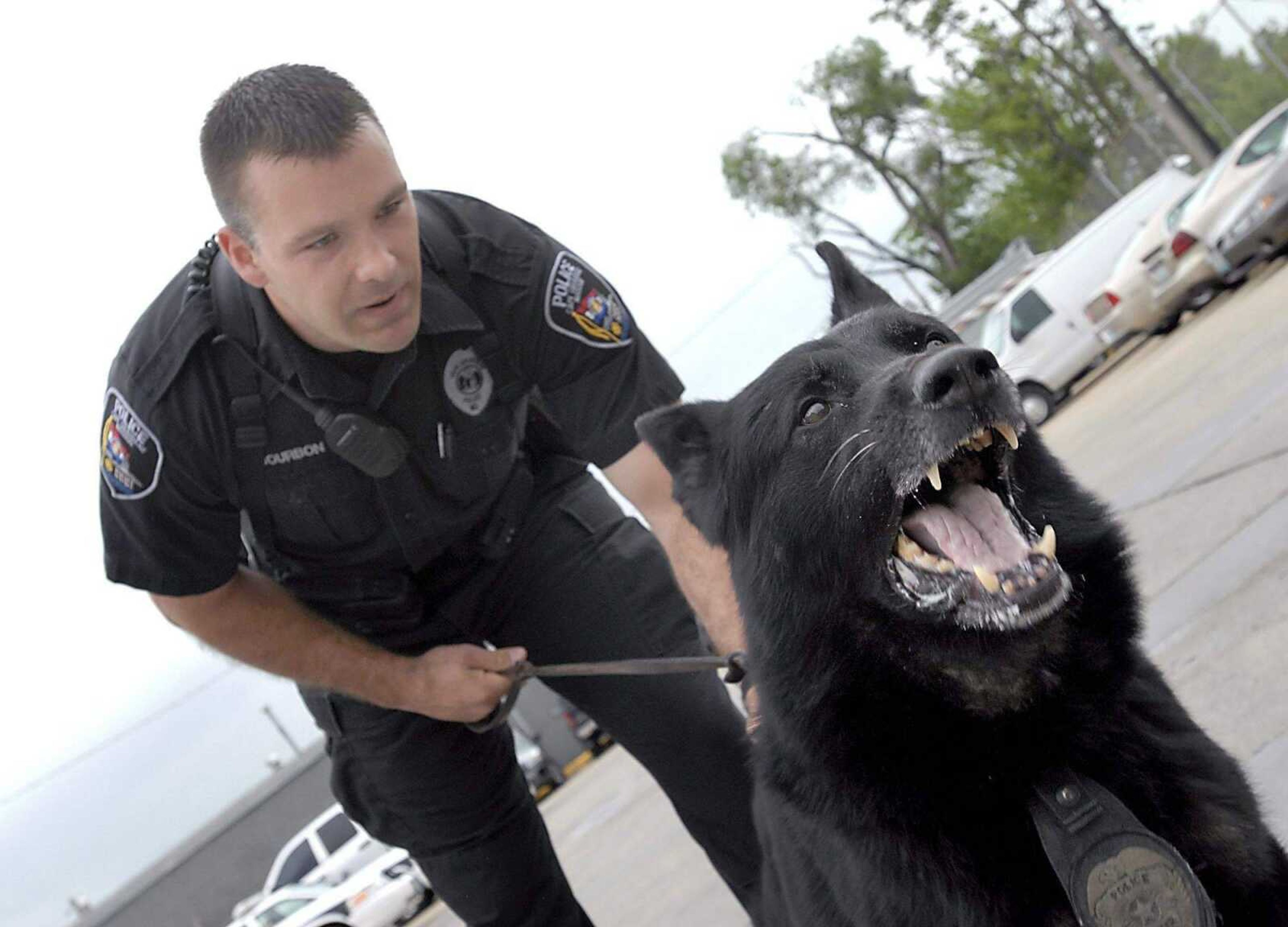 KIT DOYLE ~ kdoyle@semissourian.com<br>Cape Girardeau K-9 officer Jeff Bourbon restrained Toben from a bite instrument May 9 at the Cape Girardeau Police Department. Toben, 7, returned to work in March after for recuperating more than two months from several injuries.