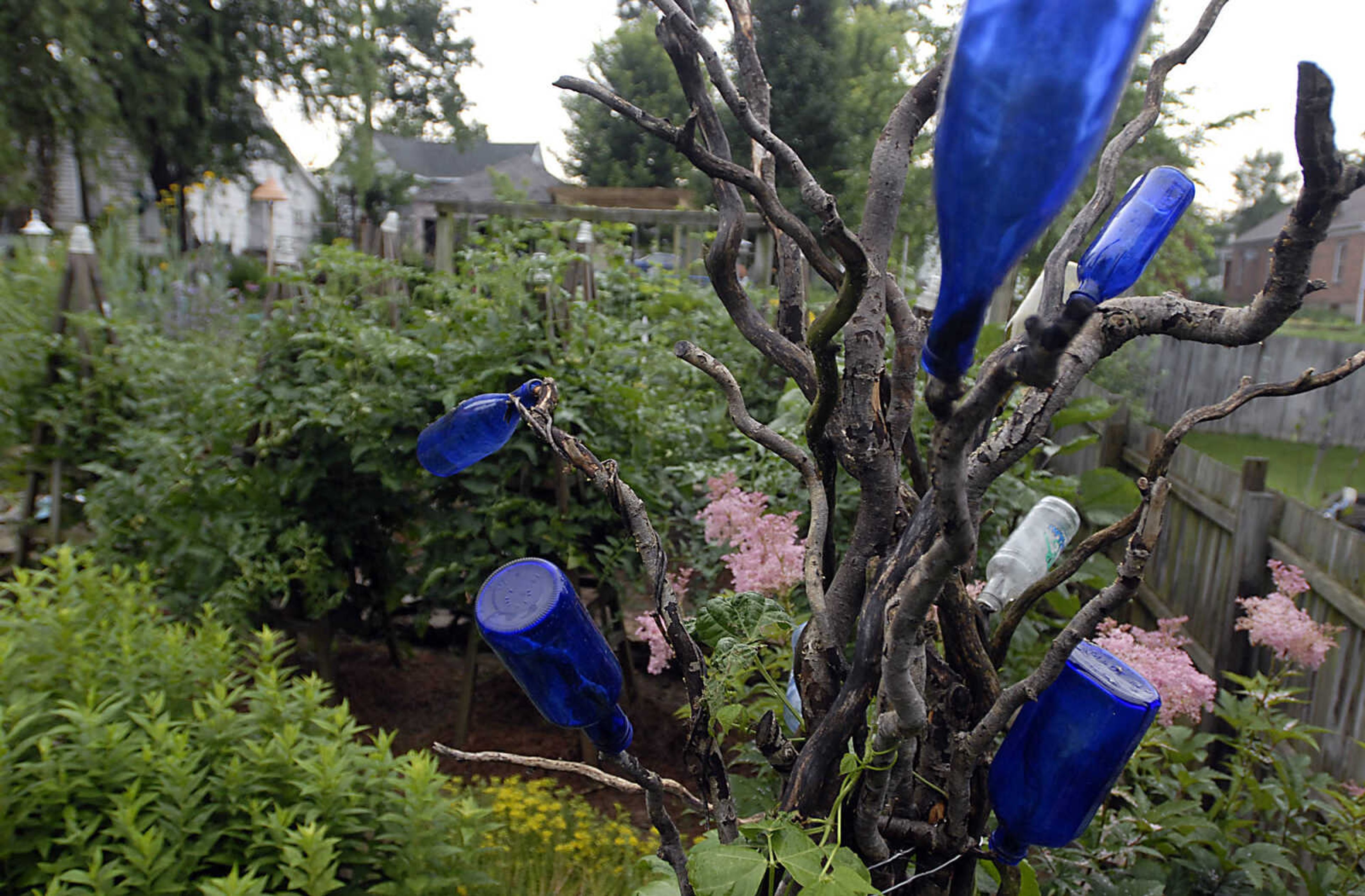 A bottle tree at artist Rob Friedrich's home in Jackson.