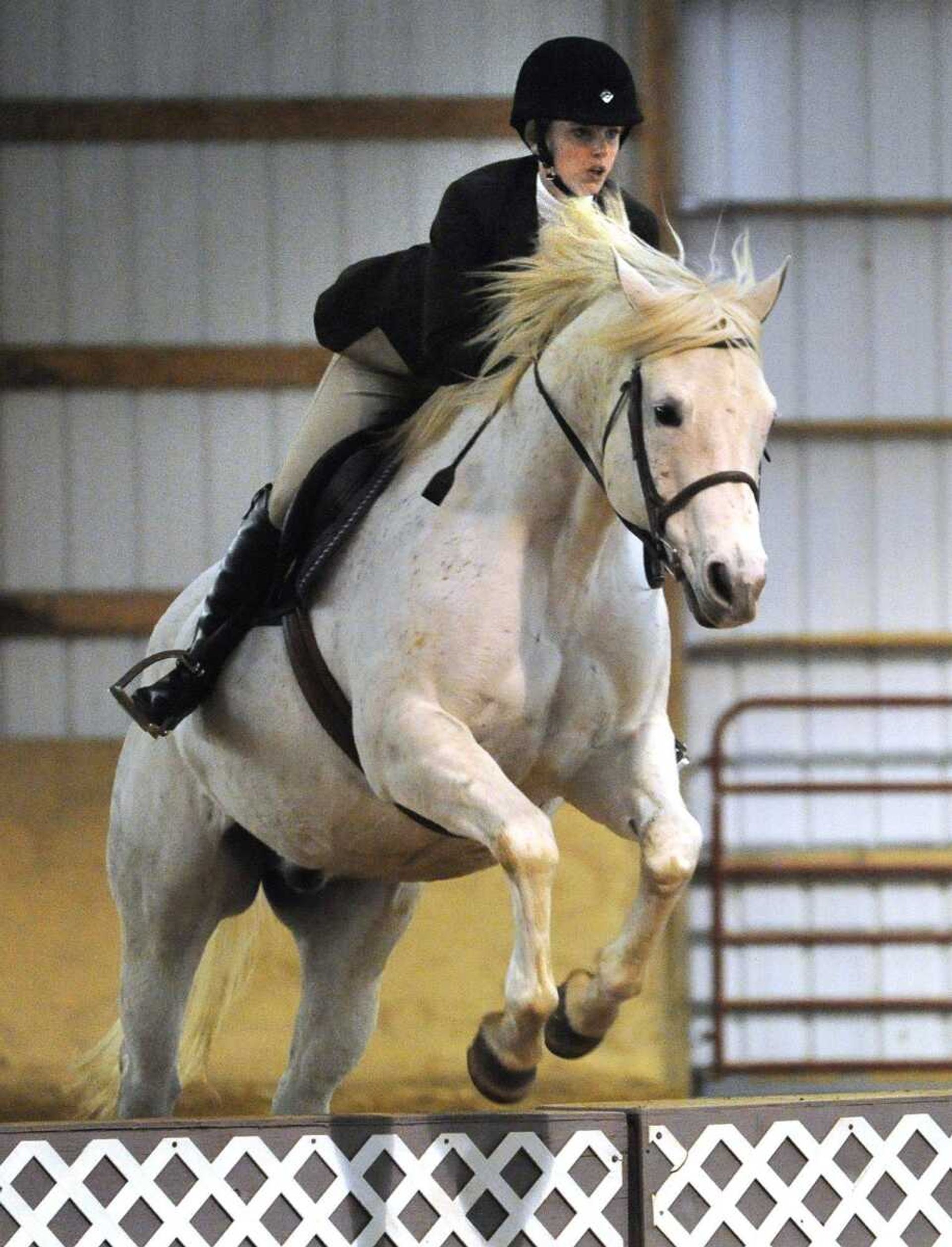 Kristie Miller, a member of the equestrian team at Southeast Missouri State University, rides Buddy in the novice fences event Sunday, March 11, 2012 at Fox Run Stables. (Fred Lynch)