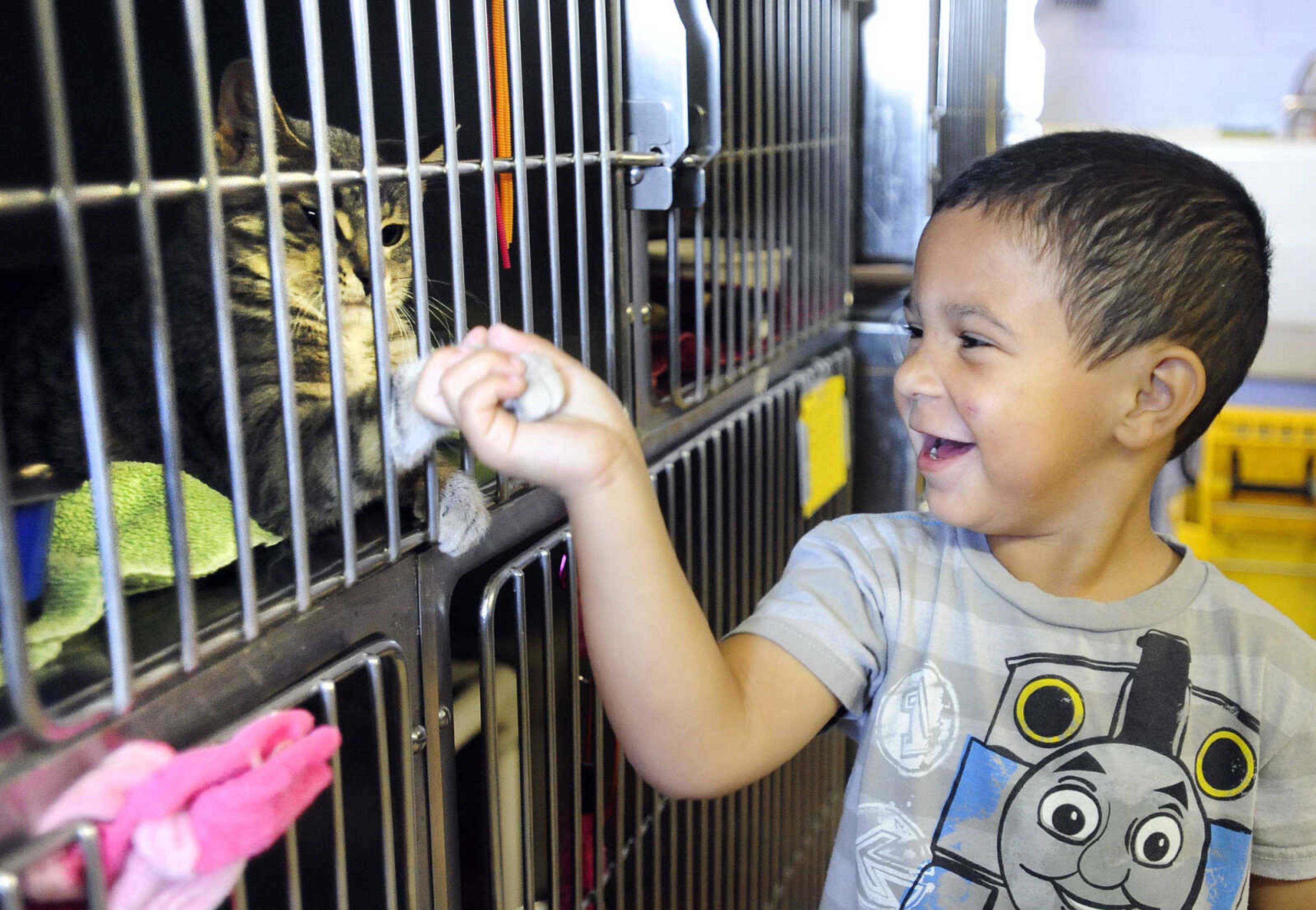 LAURA SIMON ~ lsimon@semissourian.com

Ethan Maddox, 3, visit with a kitten, Thursday, Oct. 15, 2015, at the Humane Society of Southeast Missouri in Cape Girardeau.