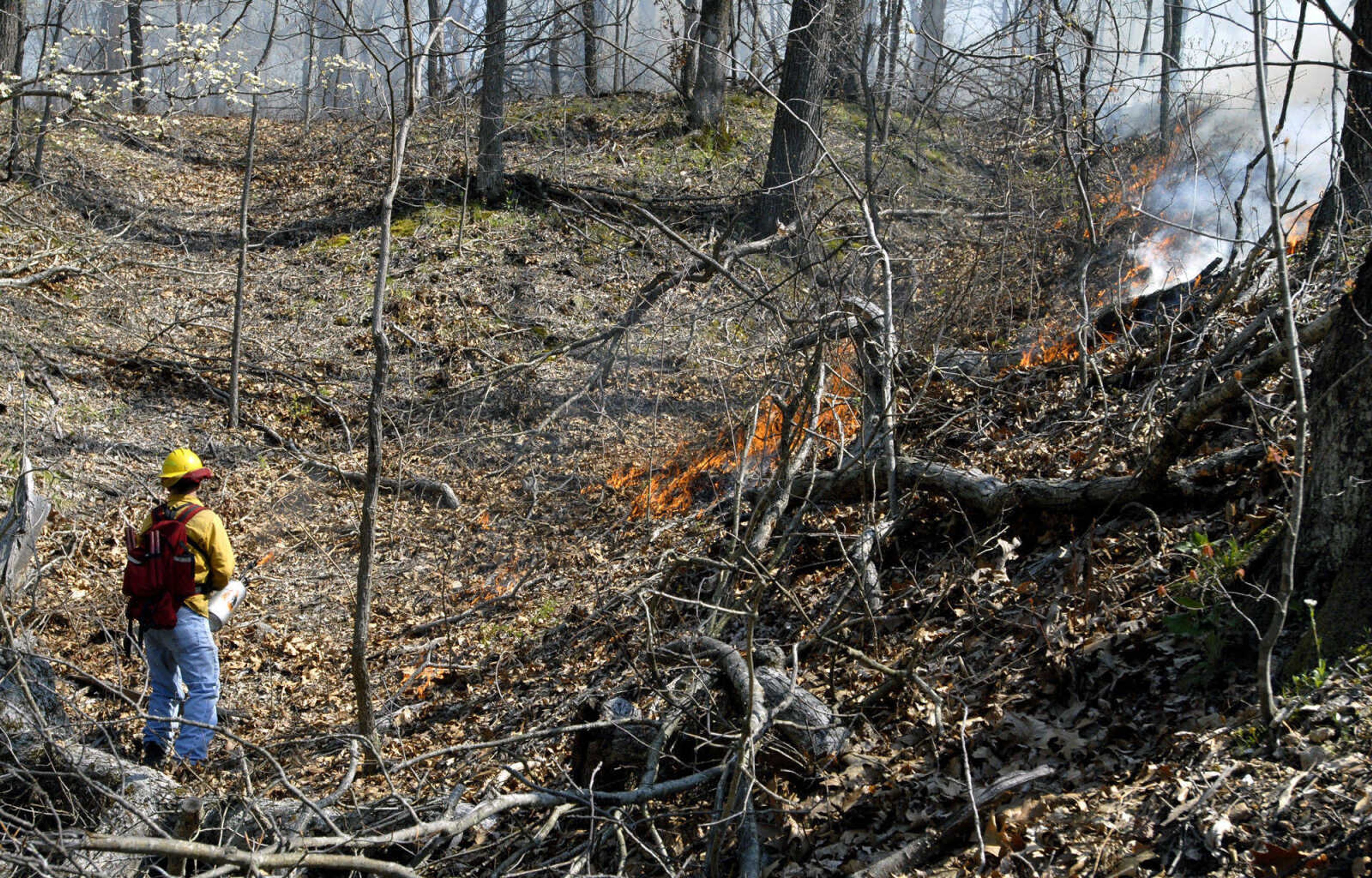 KIT DOYLE ~ kdoyle@semissourian.com
Tim Turpin starts fires in a 1,300 acre prescribed burn Wednesday morning, April 8, 2009, at Trail of Tears State Park.  The burn was a collaborative effort with the Missouri Department of Natural Resources, Missouri Department of Conservation and United States Forest Service.