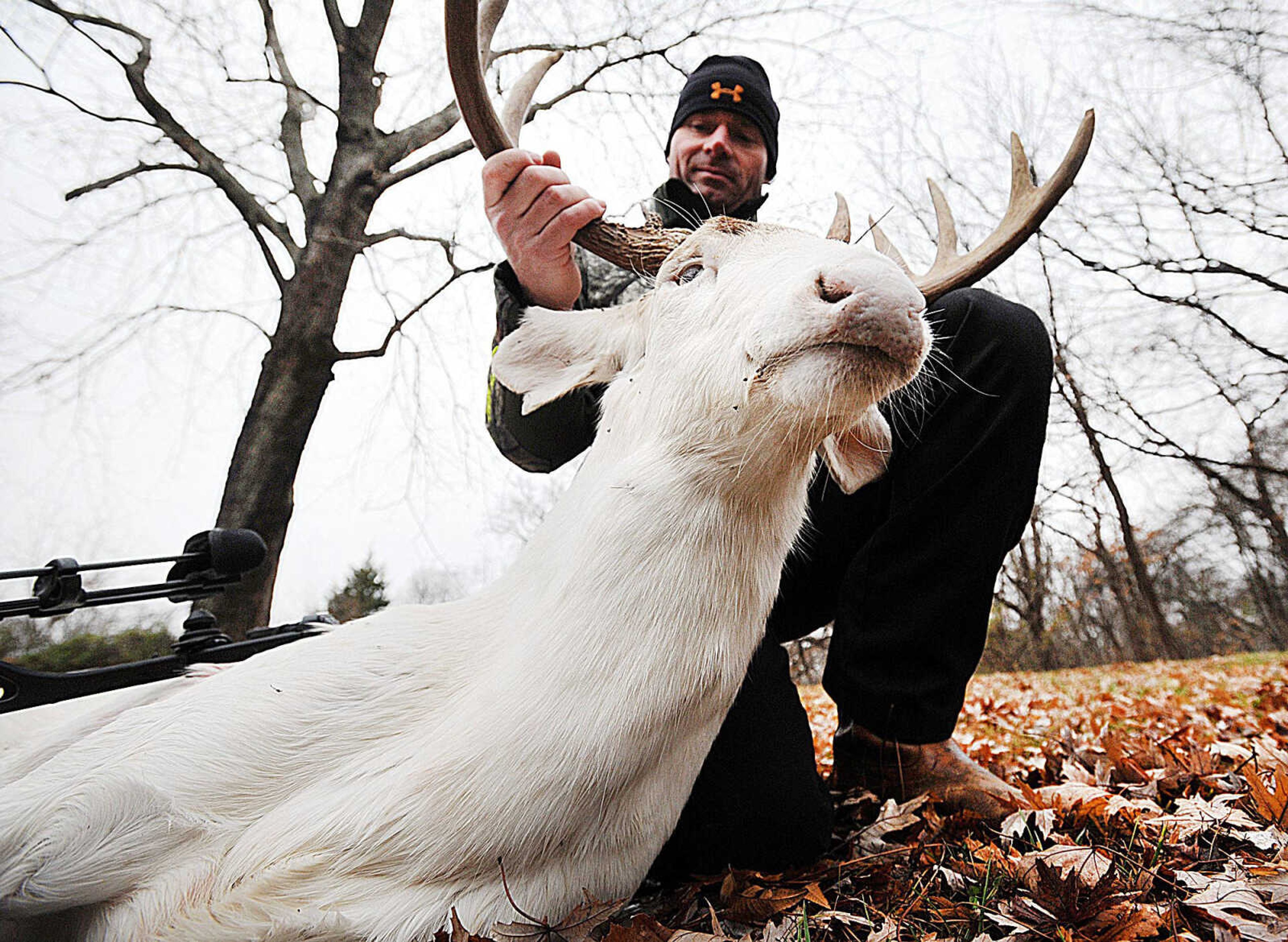 Jerry Kinnaman holds up a 10 point, 7-year-old albino buck he shot with a bow and arrow just outside of Cape Girardeau's city limits Tuesday. (Laura Simon)