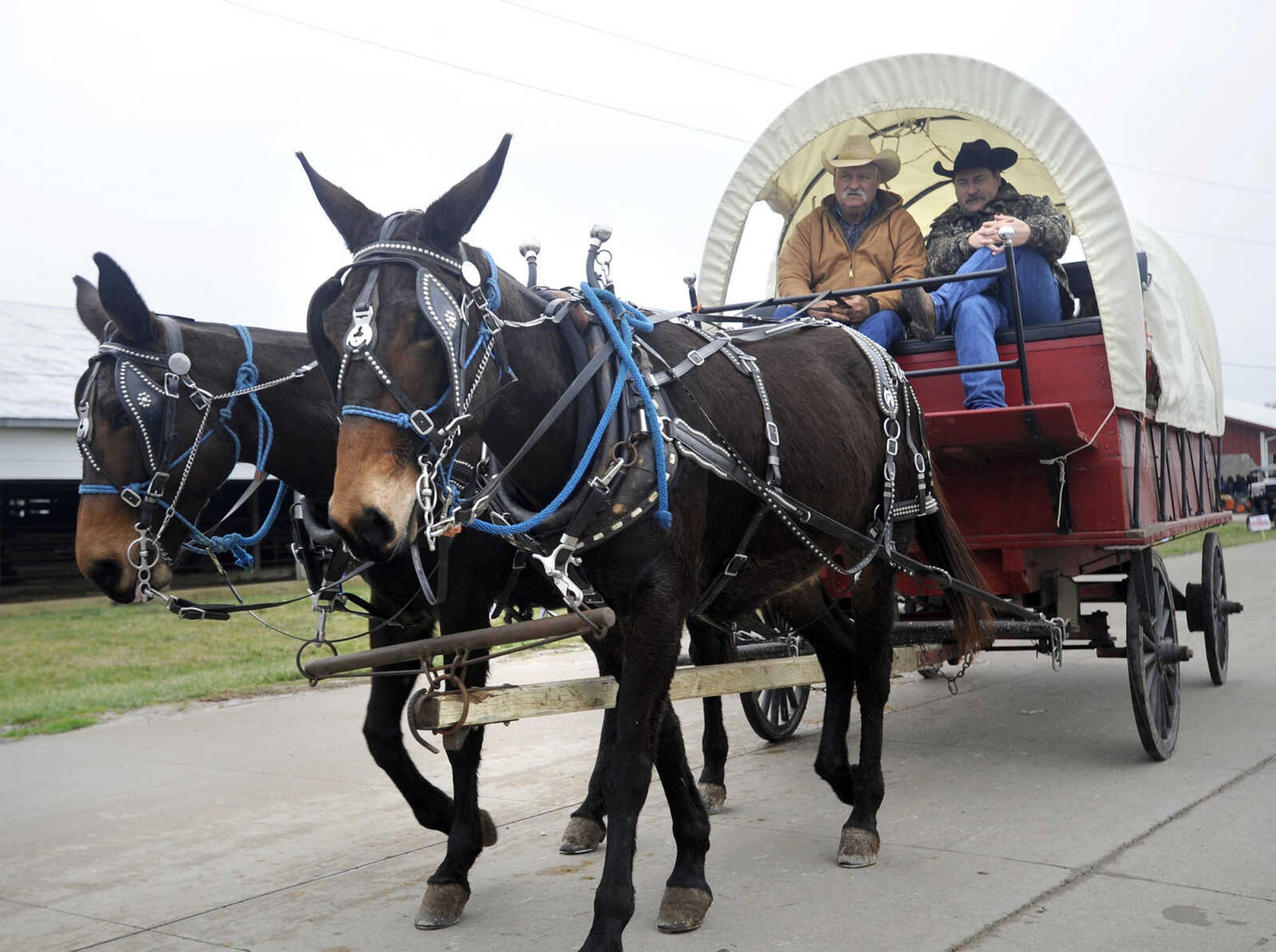 Gary Stroup and Pat Patterson from Western Rose Ranch give rides in a covered wagon at the Cousin Carl Farm Show on Saturday, March 12, 2016 at Arena Park.