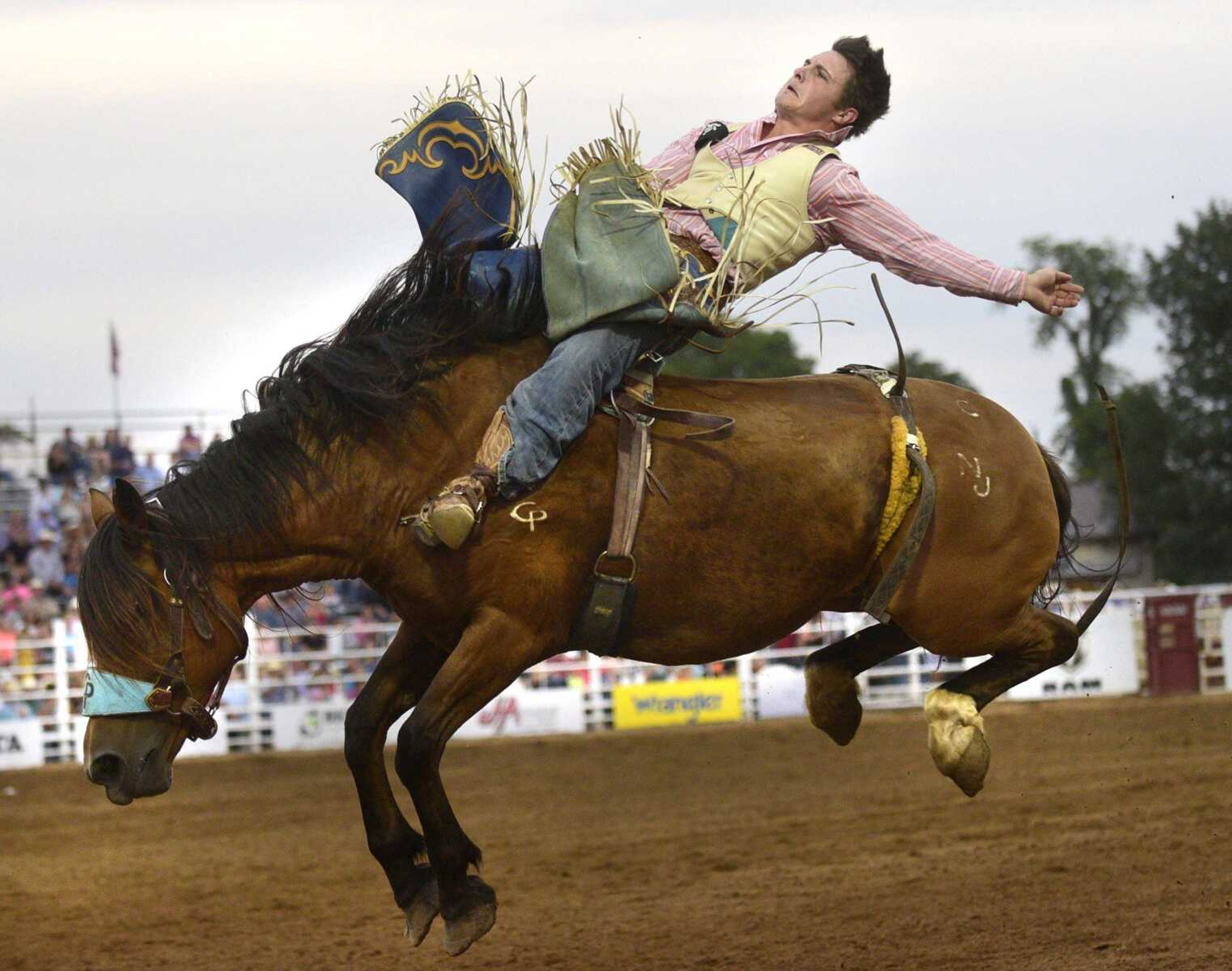 Tanner Phipps competes in the bareback ride during the Sikeston Jaycee Bootheel Rodeo on Aug. 9, 2017, in Sikeston, Missouri.