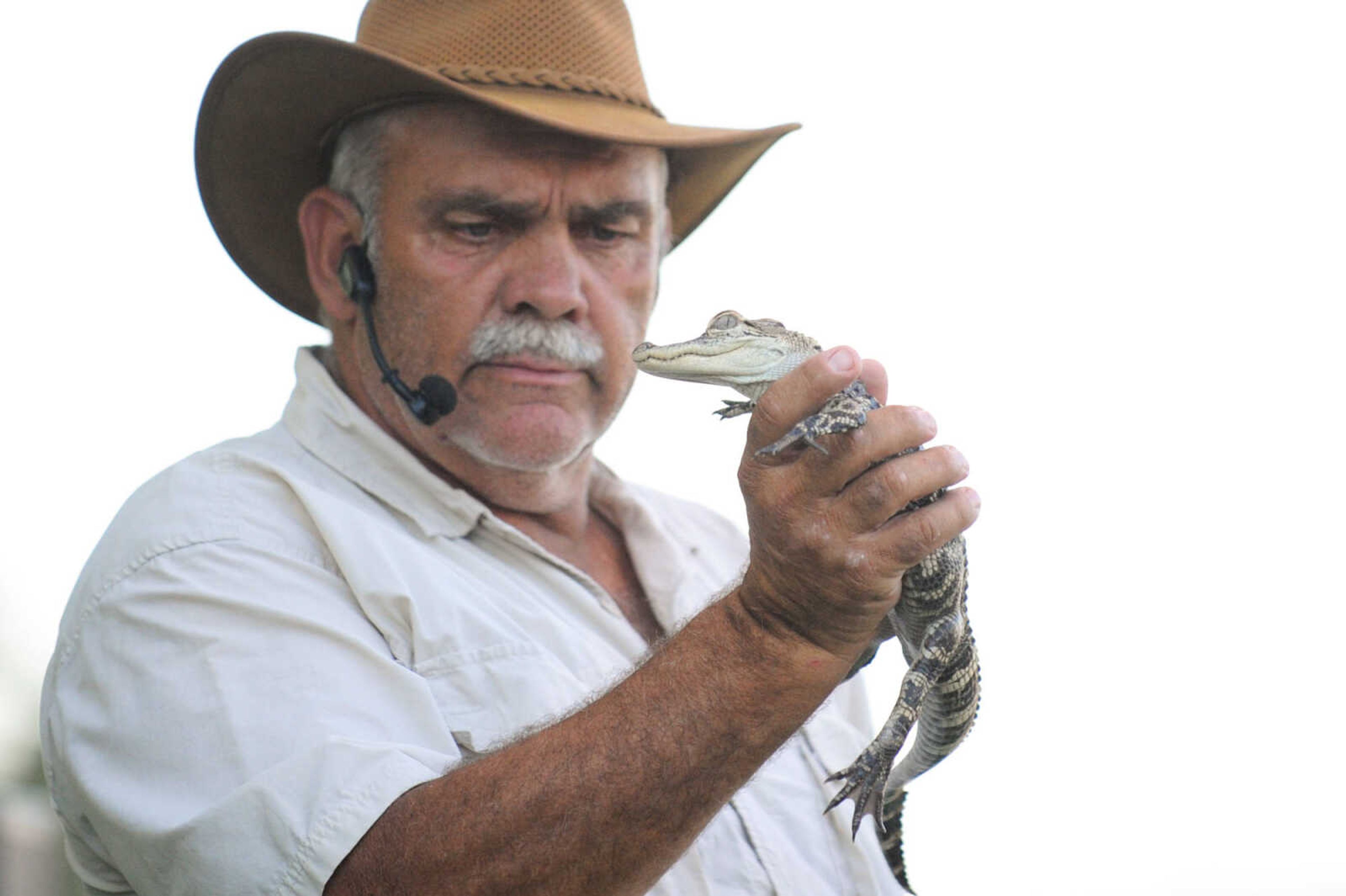 GLENN LANDBERG ~ glandberg@semissourian.com

A baby crocodile at Woody's Menagerie during the SEMO District Fair Wednesday, Sept. 16, 2015, in Cape Girardeau.