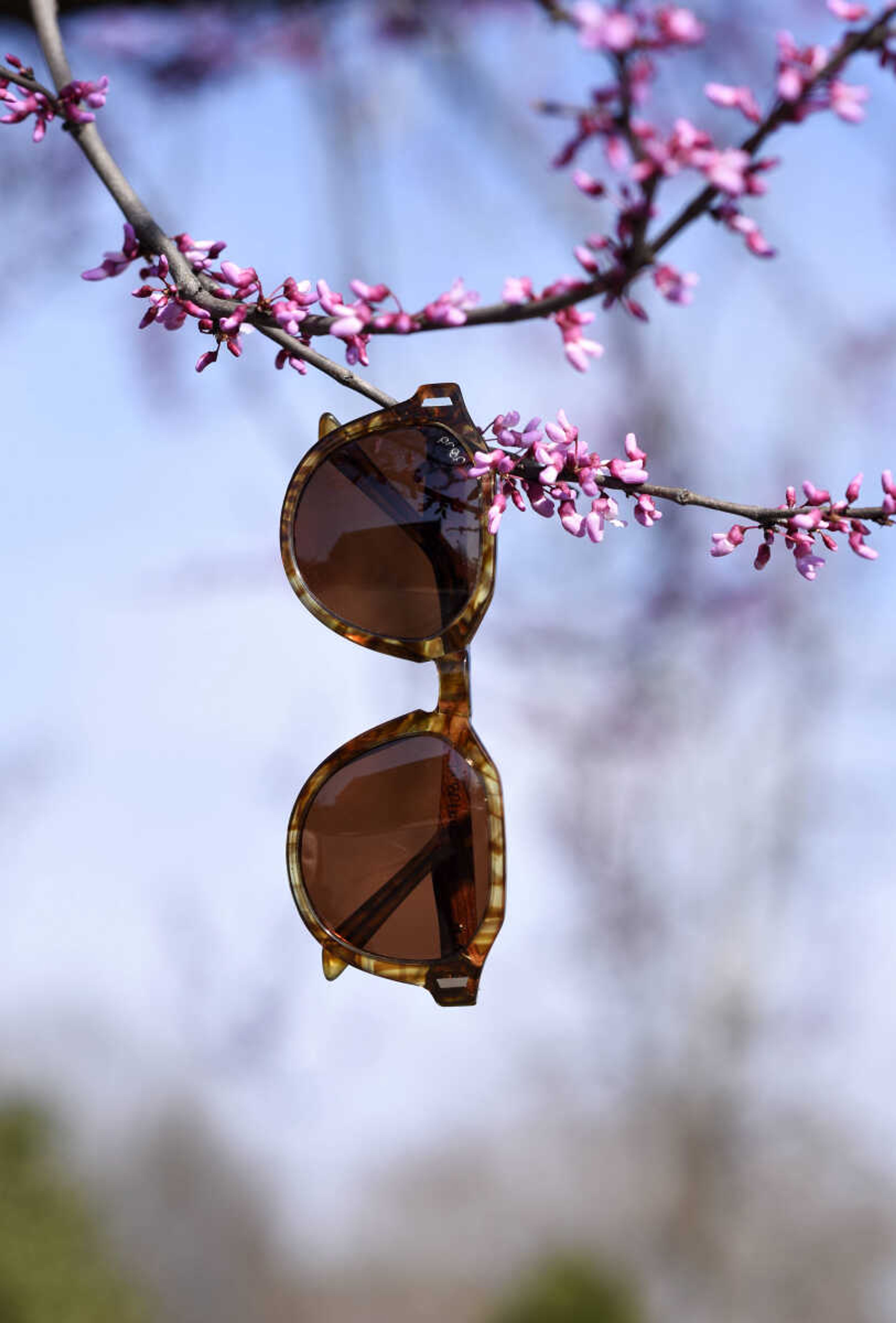 Proof tortoise-shell frames from Atelier