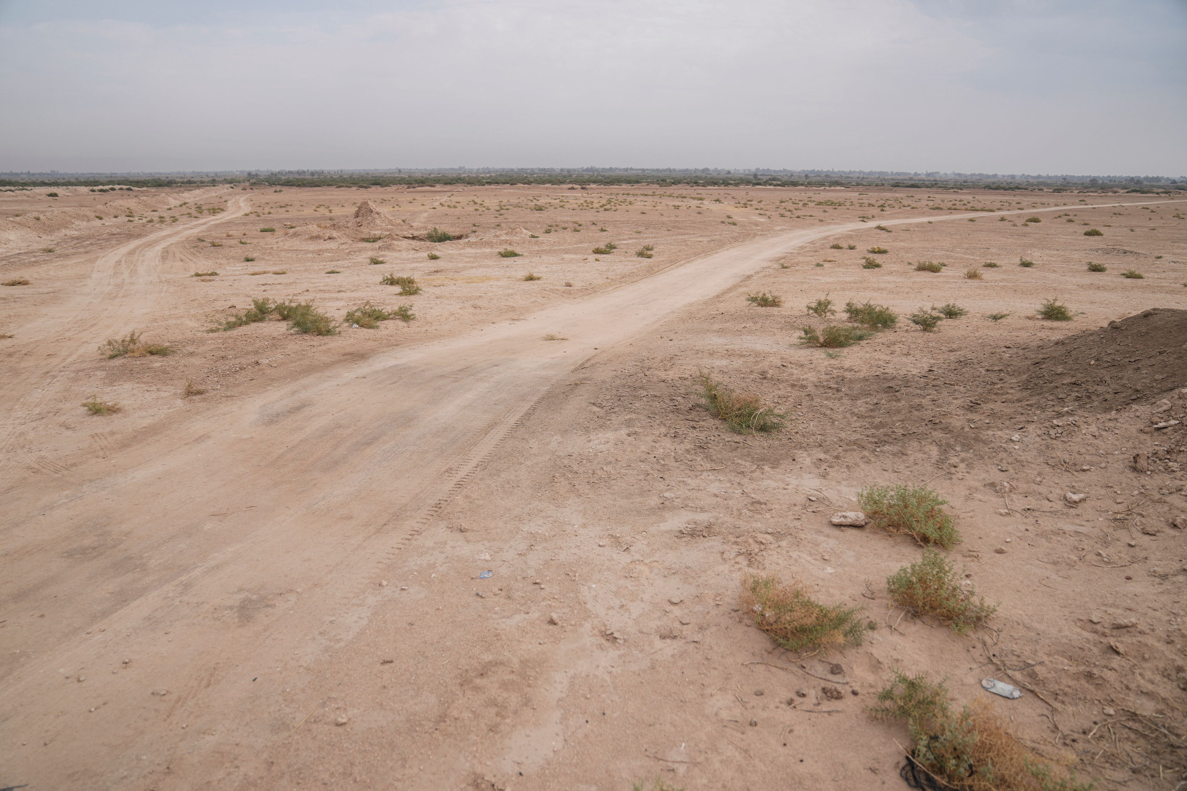 A desert area with scattered plots of agricultural land with features that closely matched the description of the al-Qadisiyah battle site described in historic texts. The Arab army prevailed in that battle and continued on its march into Persia, now Iran. Abu Sakhir district- southern Najaf, Iraq, Sunday, Nov.10, 2024. (AP Photo/Hadi Mizban)