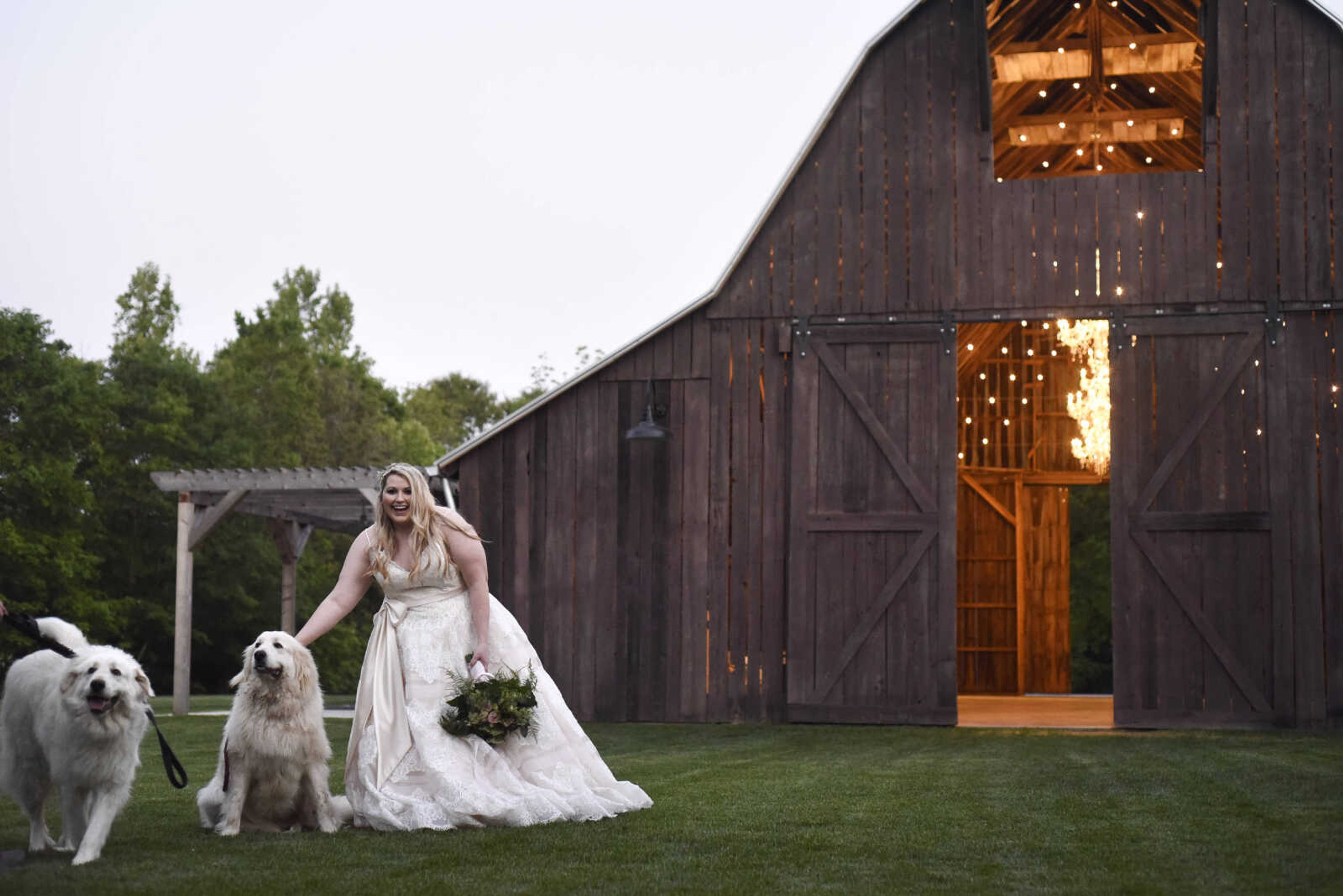 Allure Women W397 
This champagne/ivory ball gown of lace, English net and satin shows a beautiful skirt of alternating lace and sheer strips. The romantic look is completed with spaghetti straps and satin belt. Available at J Marie's Formal Affairs in Chaffee, Missouri.