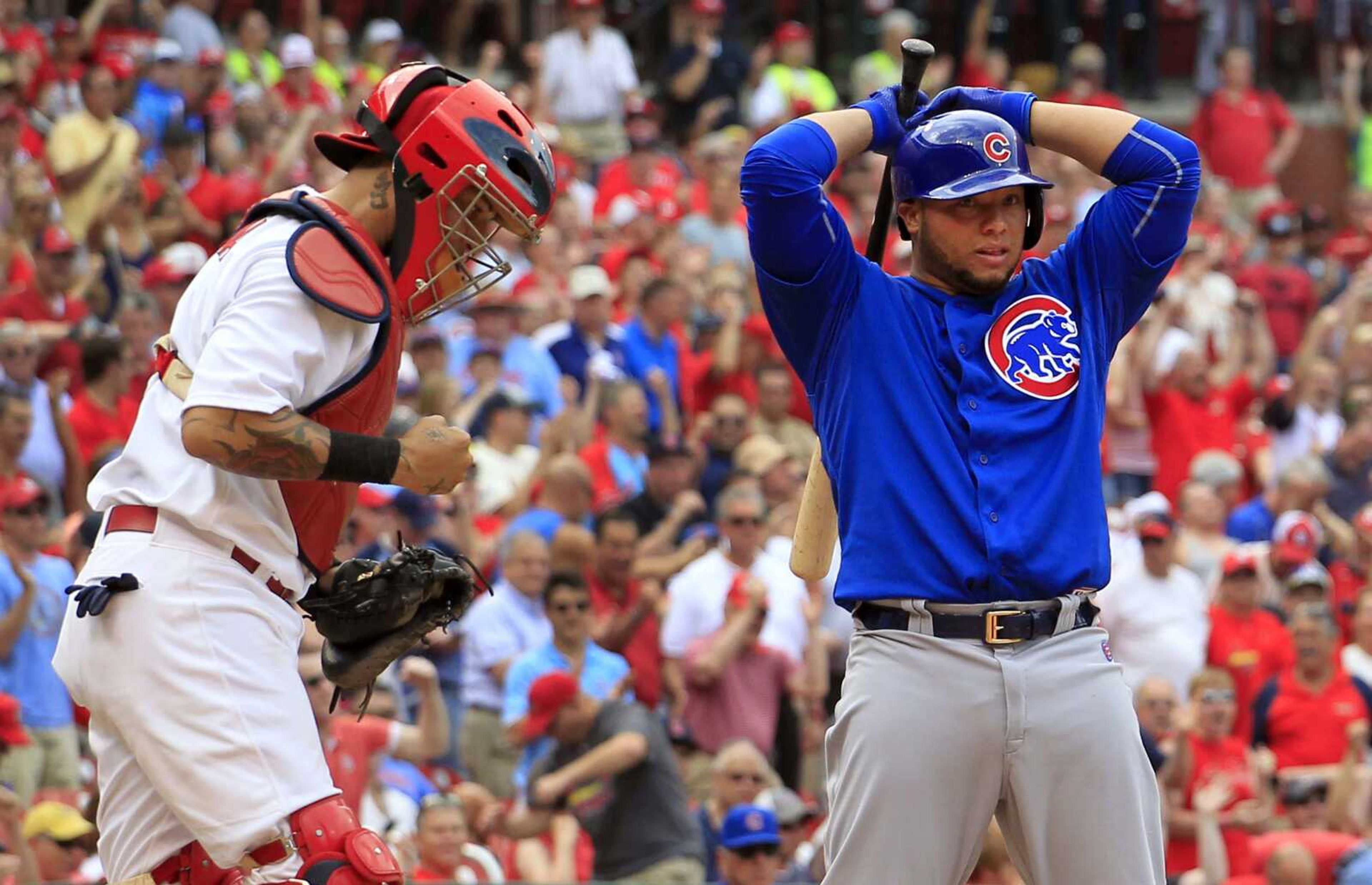 St. Louis Cardinals catcher Yadier Molina, left, pumps his fist as Chicago Cubs  Welington Castillo stands at the plate after Castillo was called out on strikes to end a baseball game Thursday, May 7, 2015, in St. Louis. The Cardinals won 5-1. (AP Photo/Jeff Roberson)