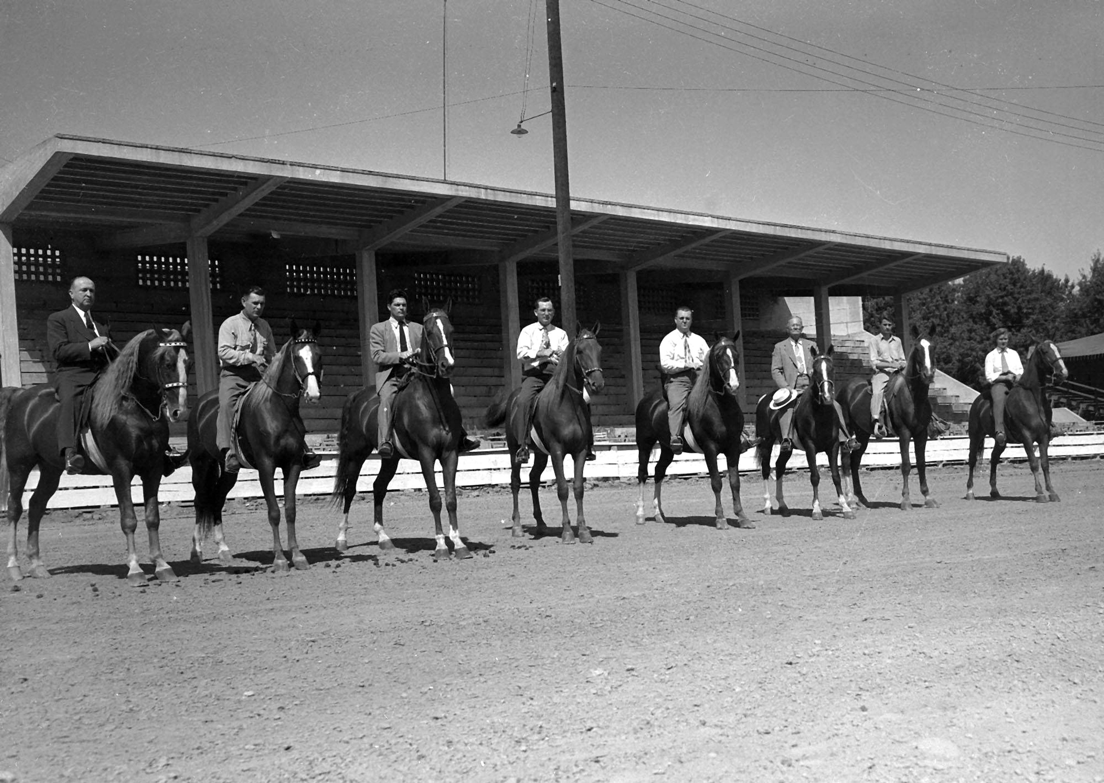 Horse shows were held three nights during the 1948 SEMO District Fair.