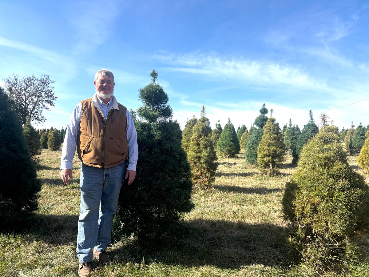 Local Christmas tree farm provides unique holiday experience