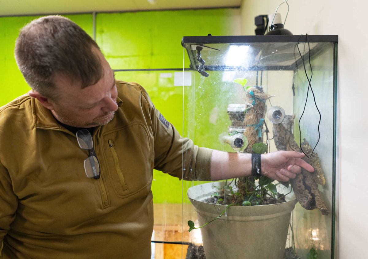 Reptile Rescue Form Meet the Reptiles: Reeves Reptile Rescue educates about their cold-blo...