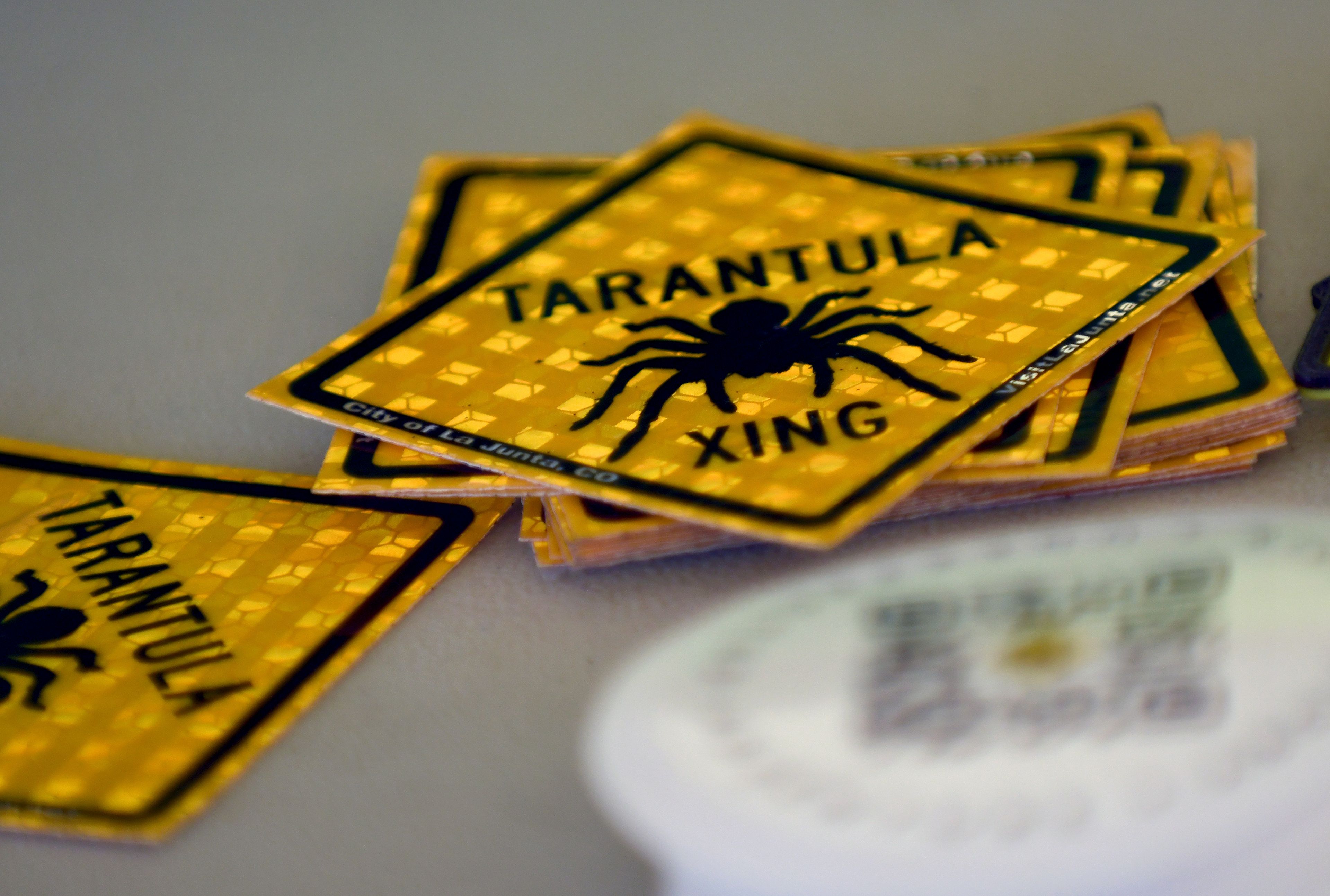 Tarantula crossing stickers are piled on a table at the Tarantula Festival in La Junta, Colo., on Saturday, Sept. 28, 2024. (AP Photo/Thomas Peipert)