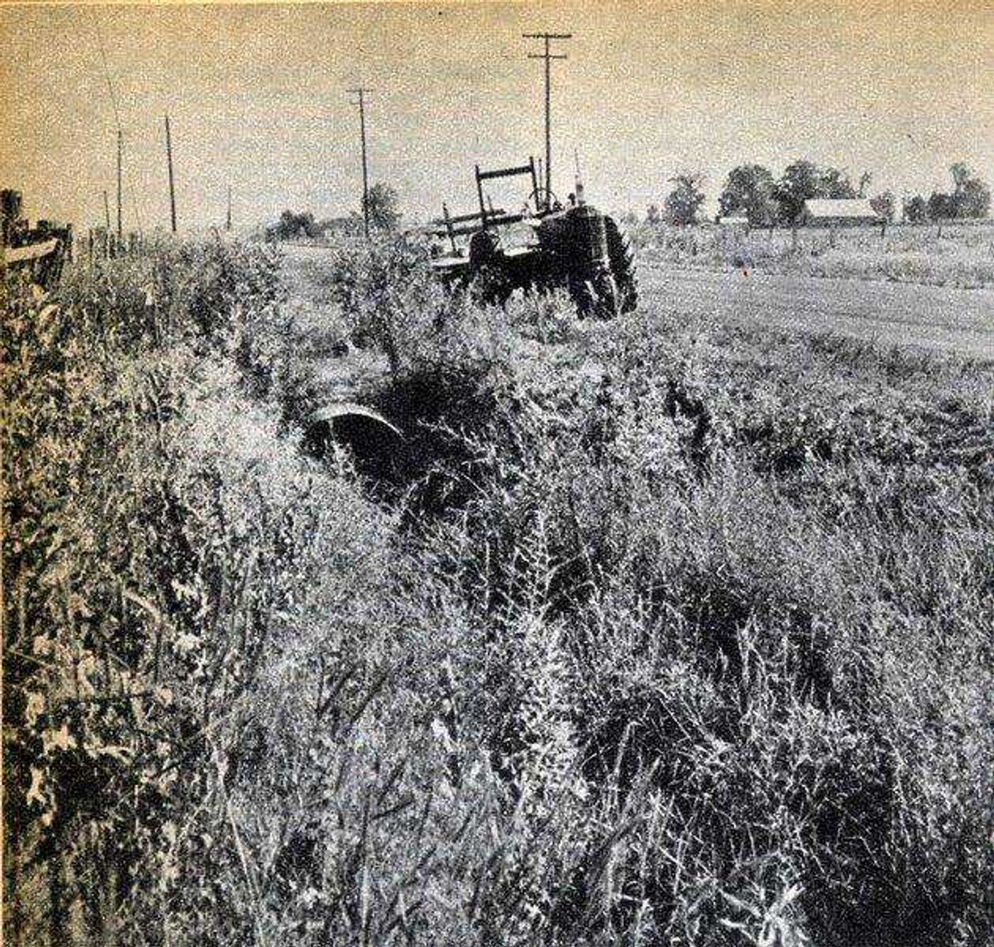 Southeast Missourian file
The ditch along Route N where Bonnie Huffman's body was found July 5, 1954.