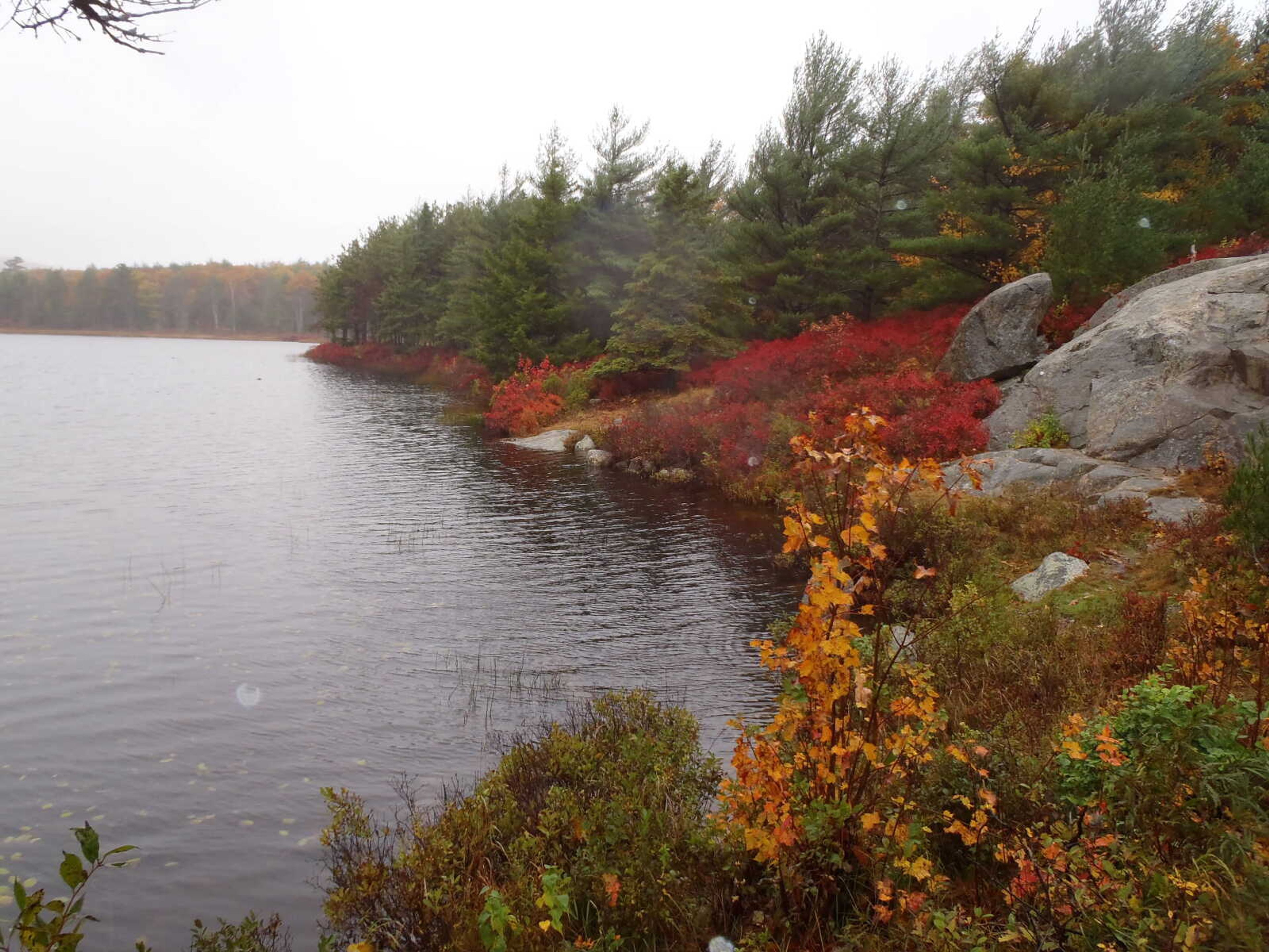 Fall in Acadia