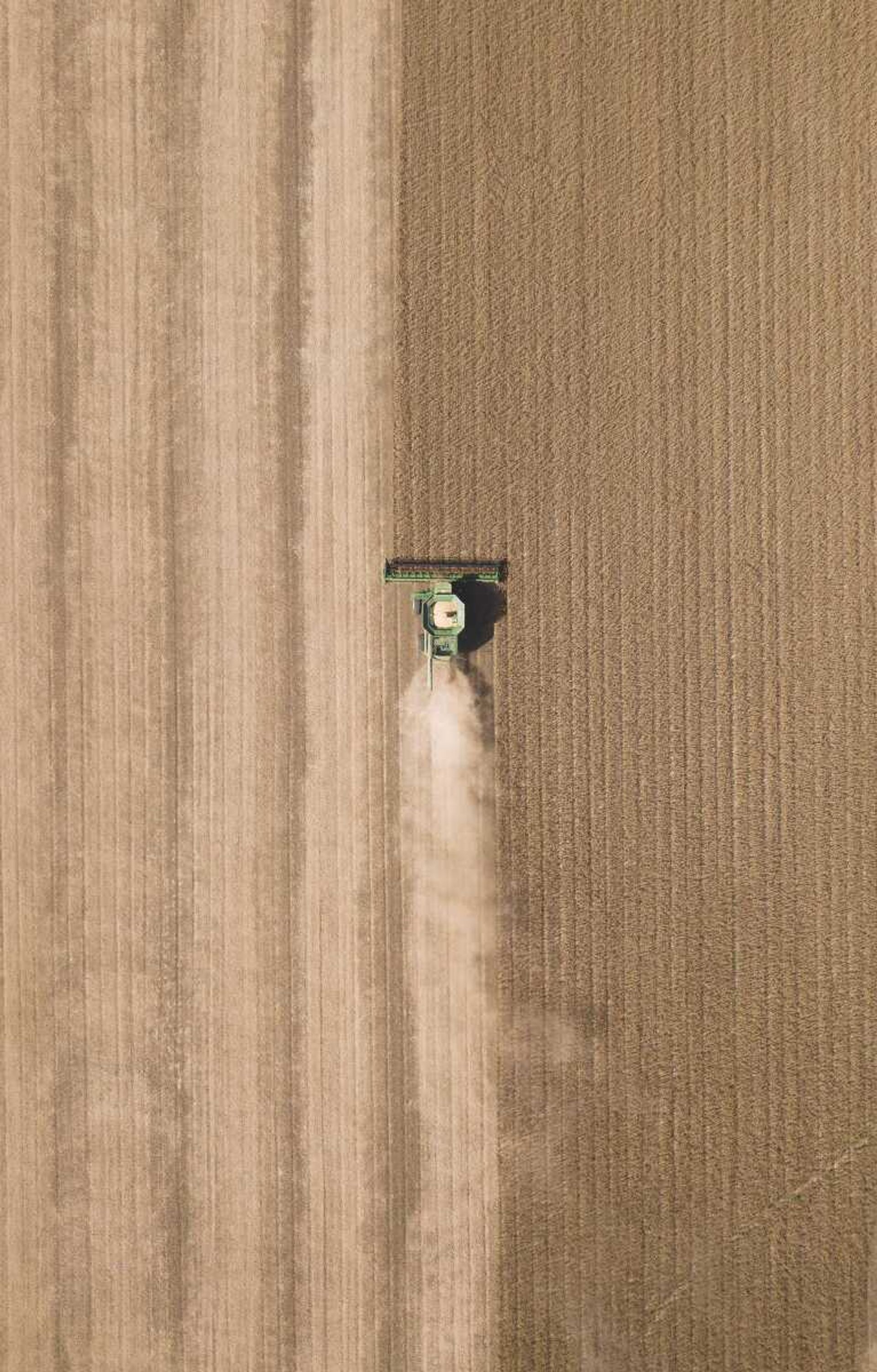 Harvesting soybeans in a field near Dutchtown