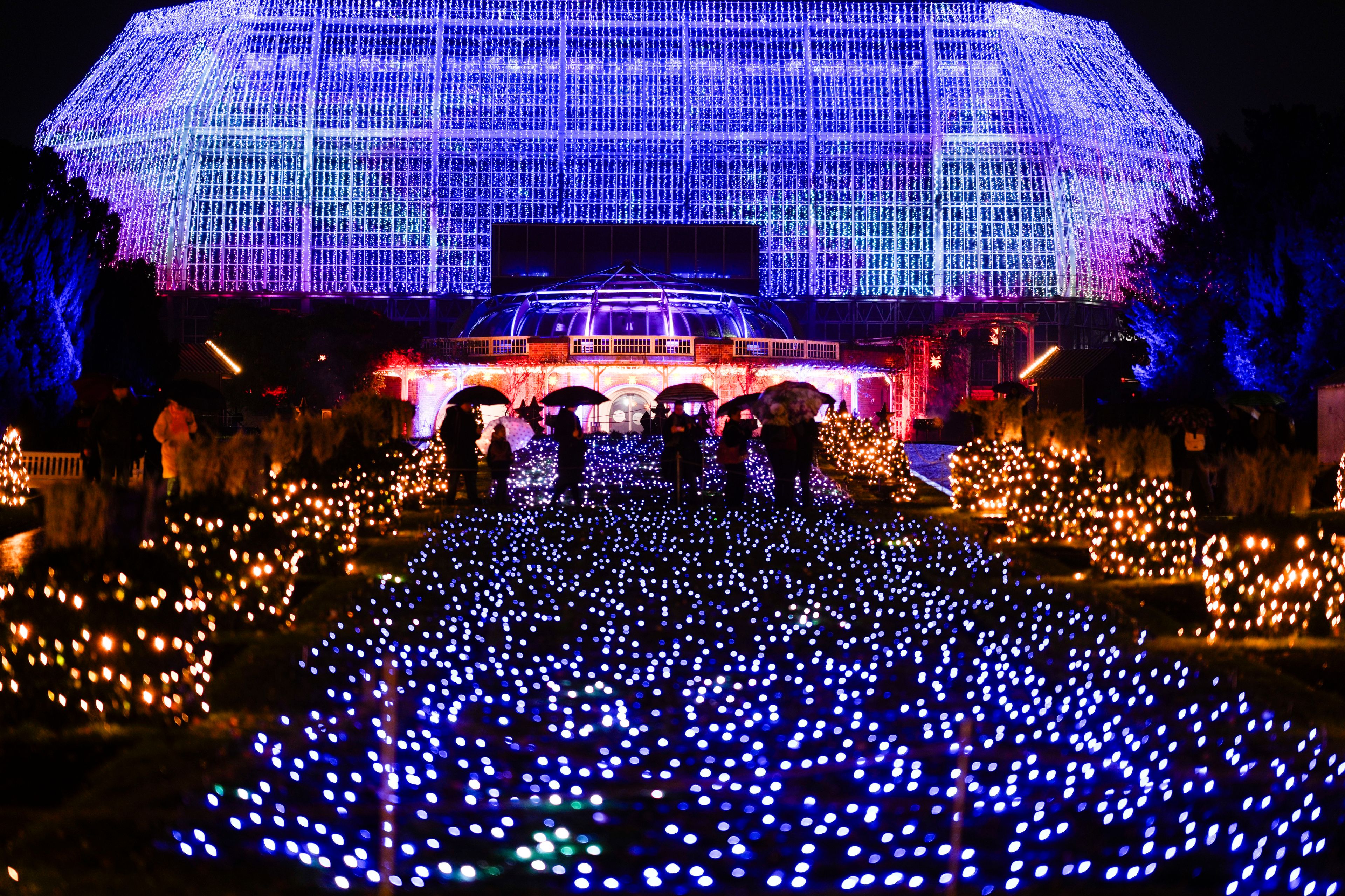 People walk through a Christmas light trail during a lighting test of the Christmas Garden in the Botanical Garden in Berlin, Germany, Tuesday, Nov. 19, 2024. (AP Photo/Markus Schreiber)